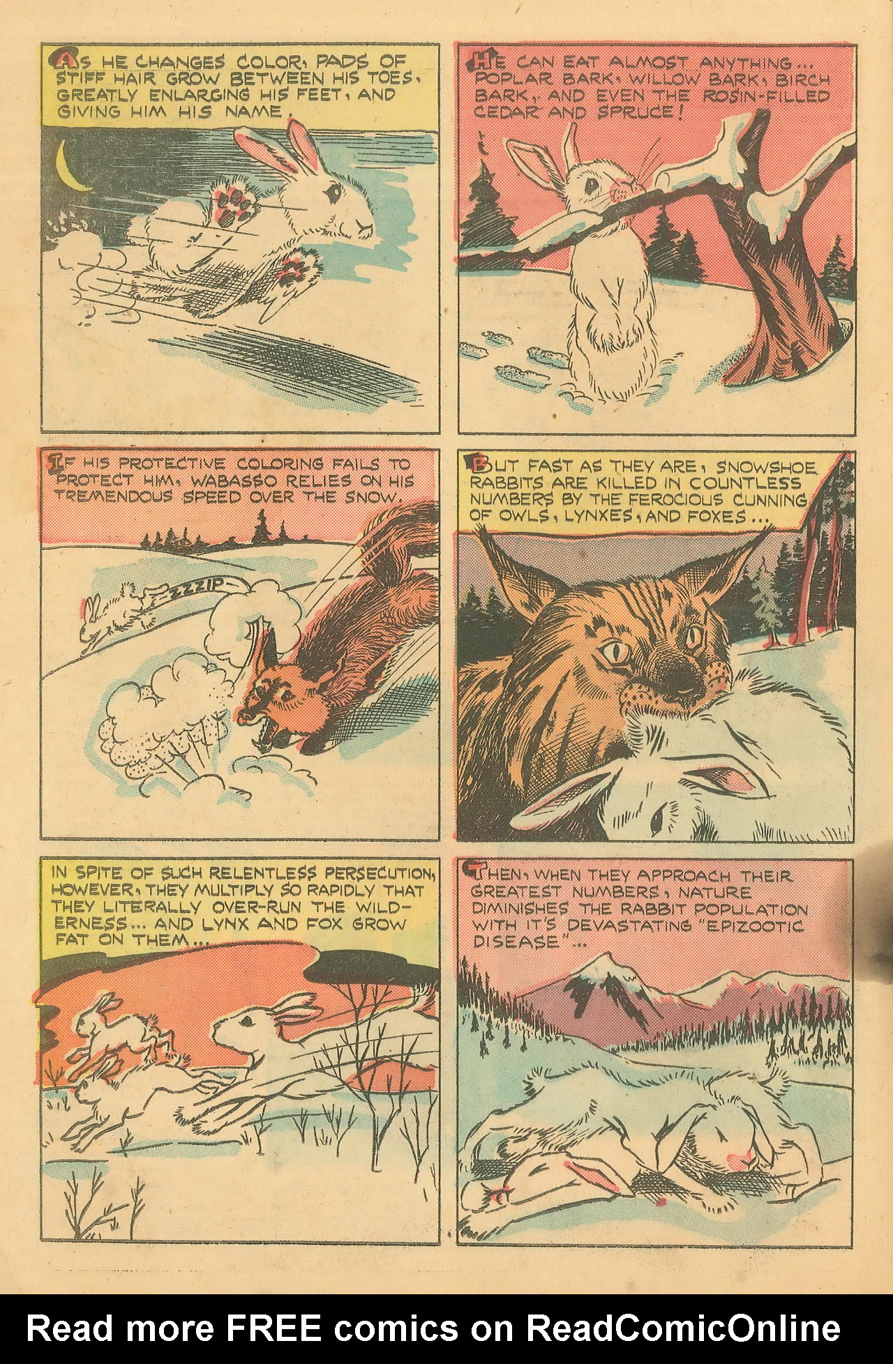Read online Wotalife Comics comic -  Issue #5 - 30