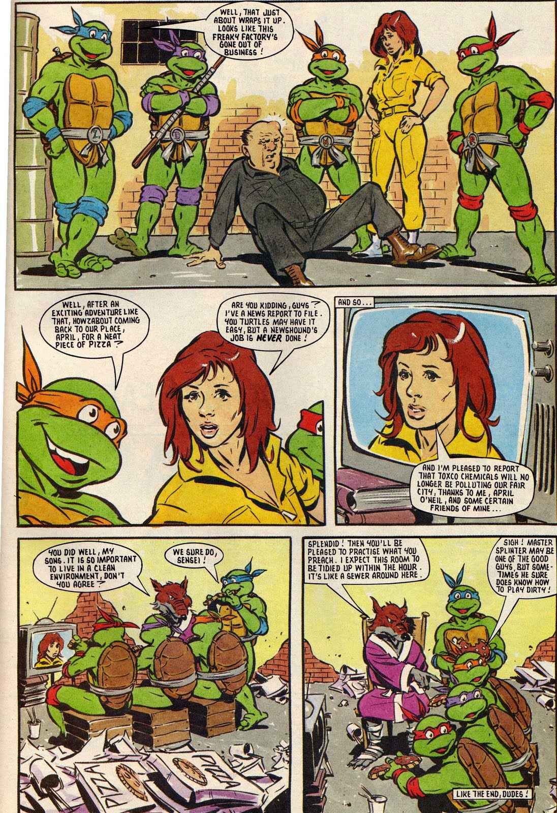 Read online Teenage Mutant Hero Turtles Adventures comic -  Issue #21 - 14