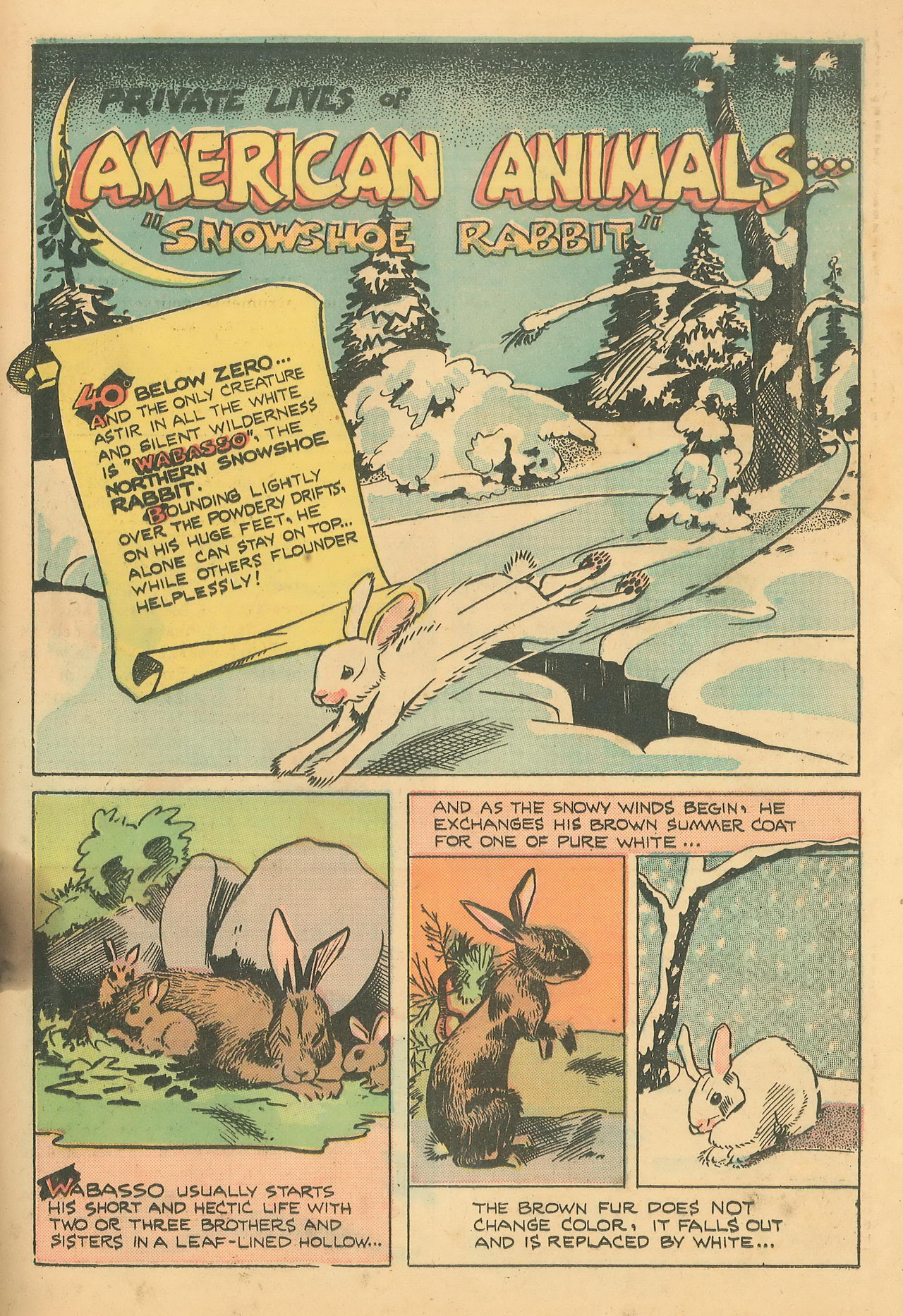 Read online Wotalife Comics comic -  Issue #5 - 29