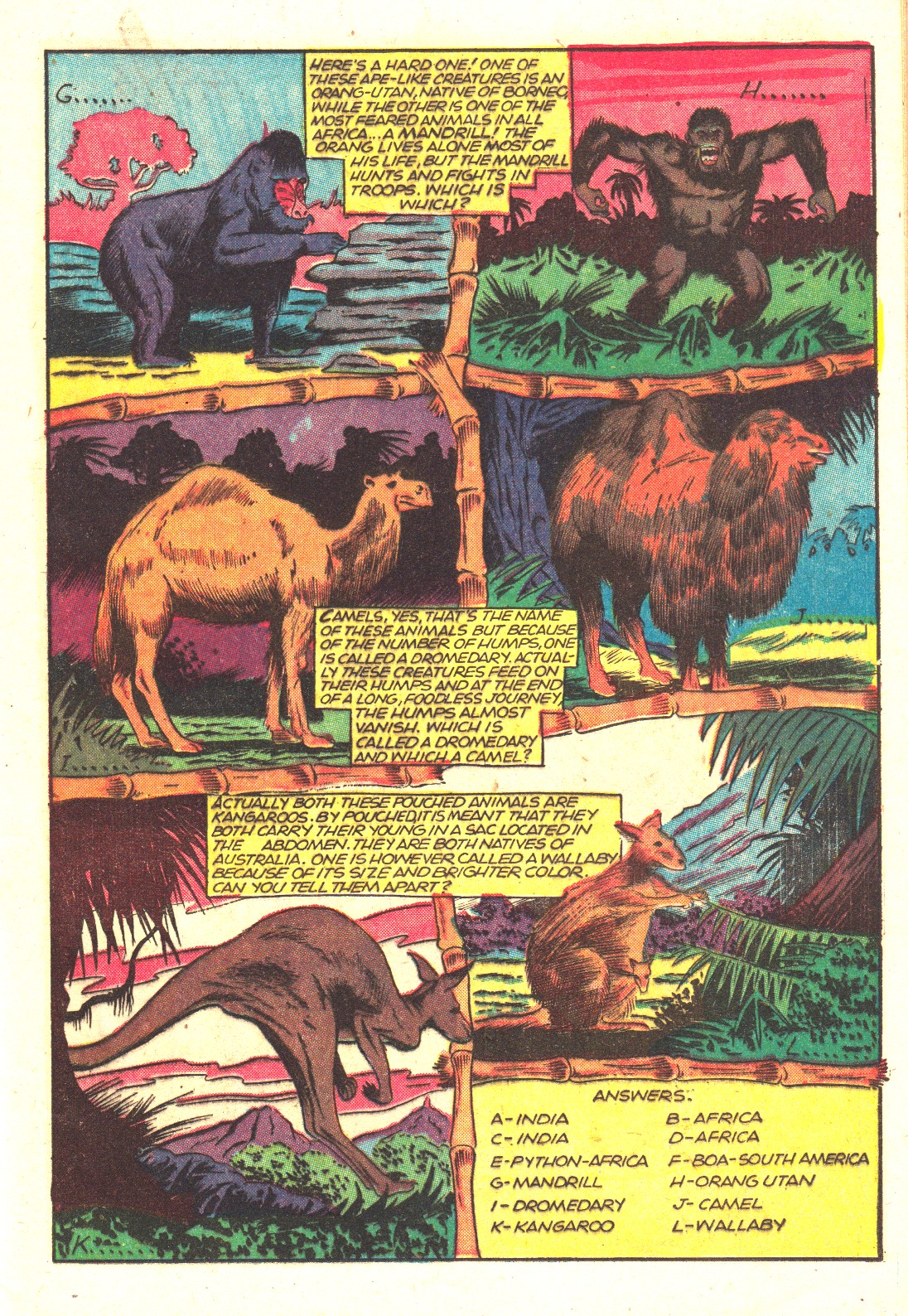 Read online Wambi Jungle Boy comic -  Issue #16 - 13