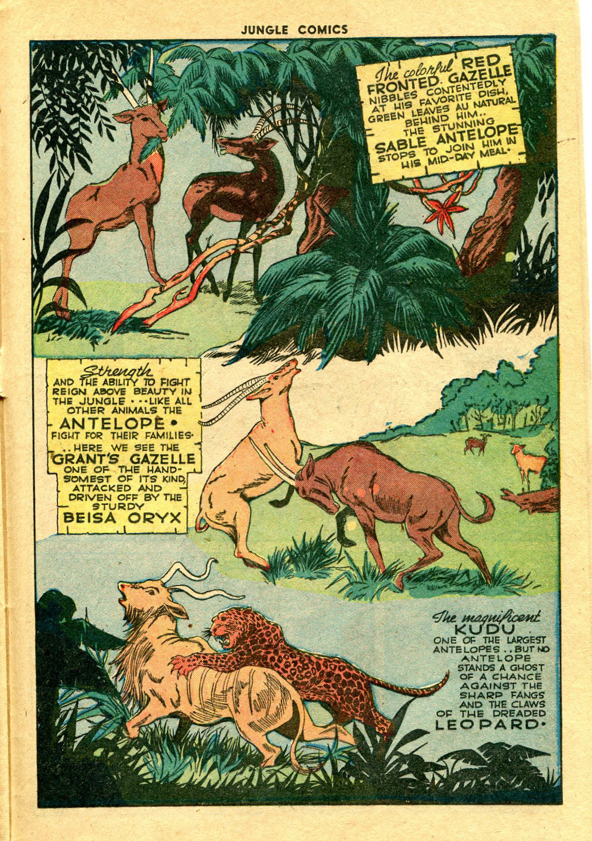 Read online Jungle Comics comic -  Issue #59 - 38