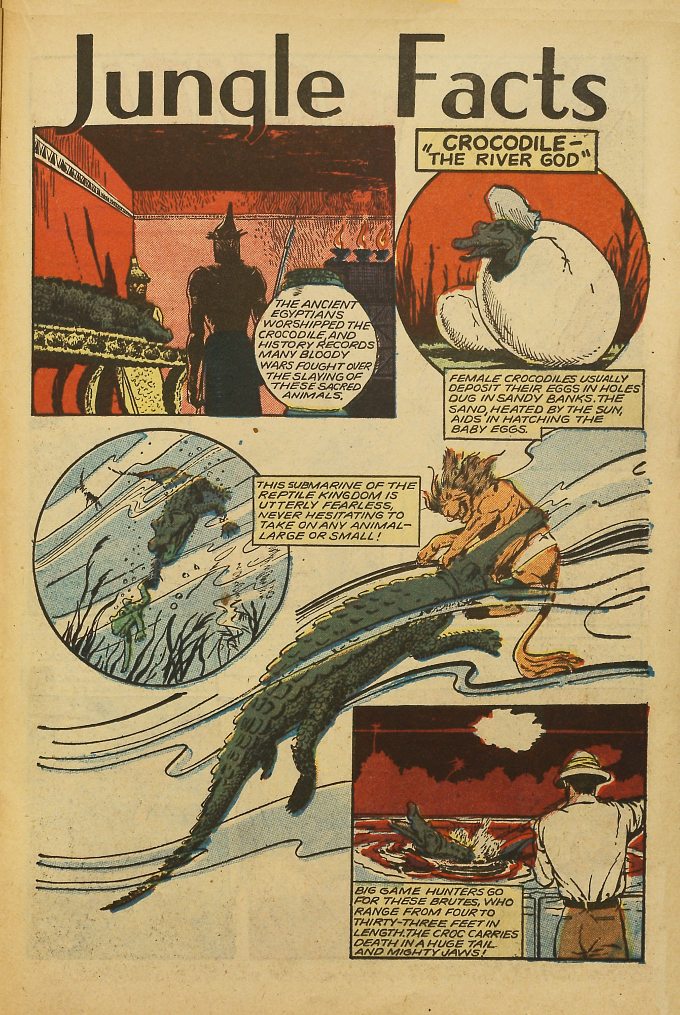 Read online Jungle Comics comic -  Issue #101 - 29