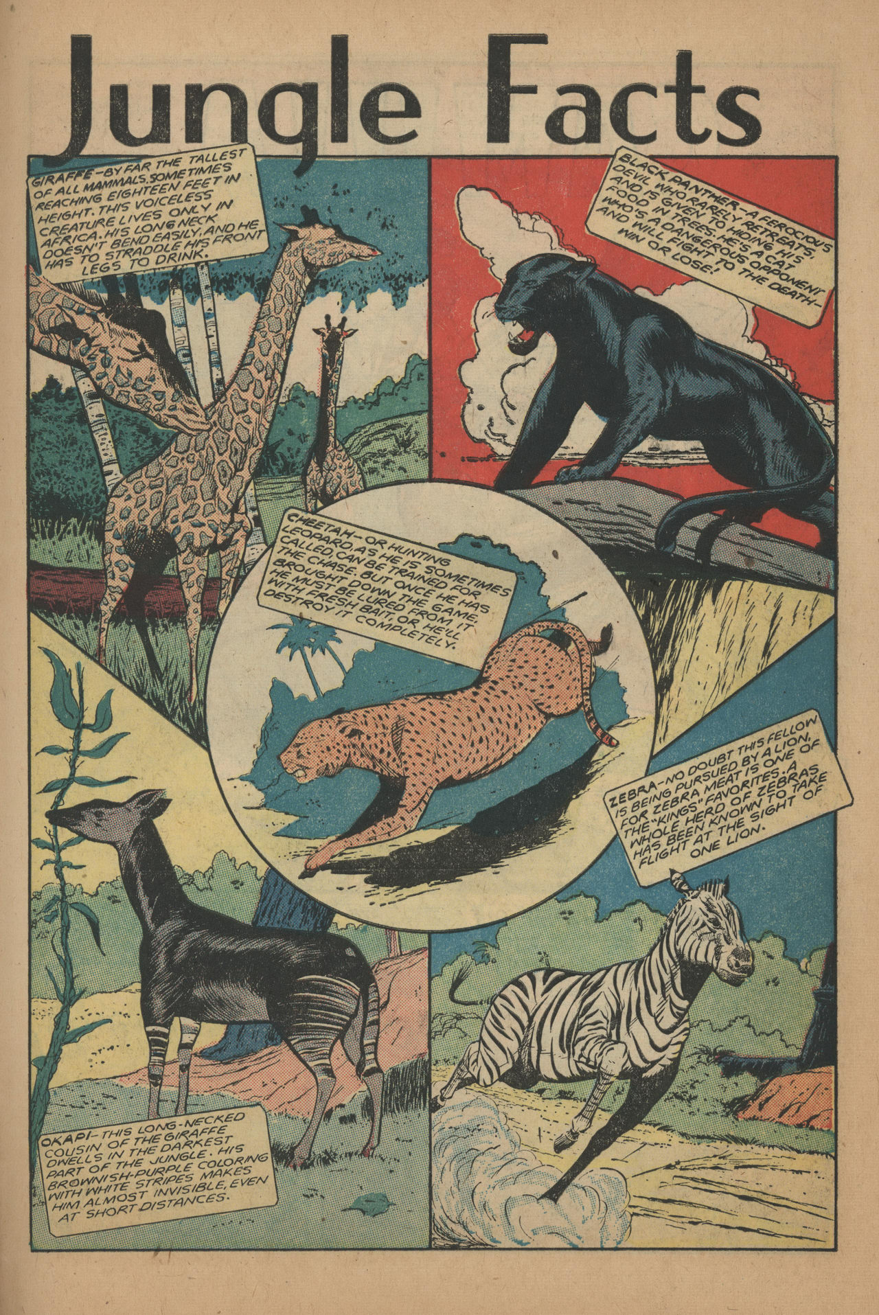 Read online Jungle Comics comic -  Issue #107 - 41