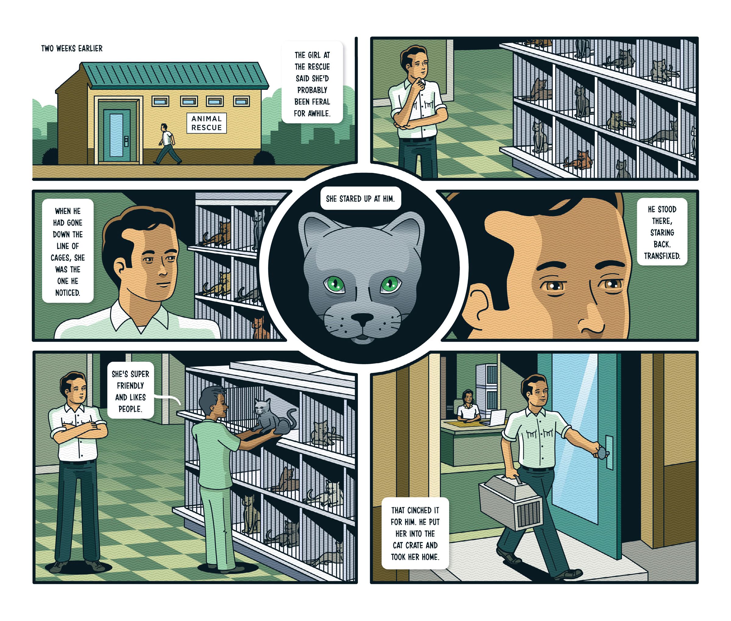 Read online Animal Stories comic -  Issue # TPB (Part 2) - 12