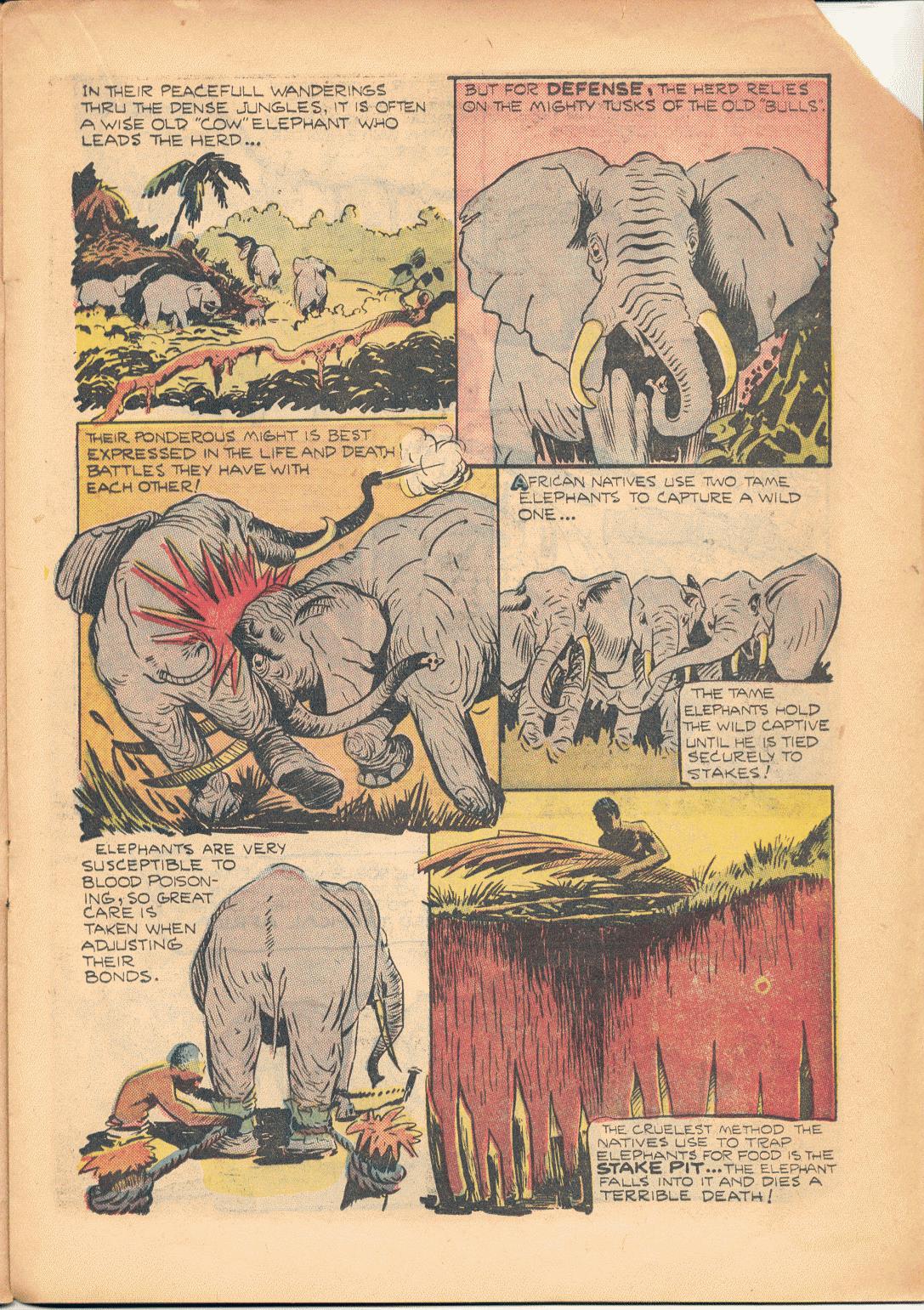 Read online Zoot Comics comic -  Issue #8 - 17