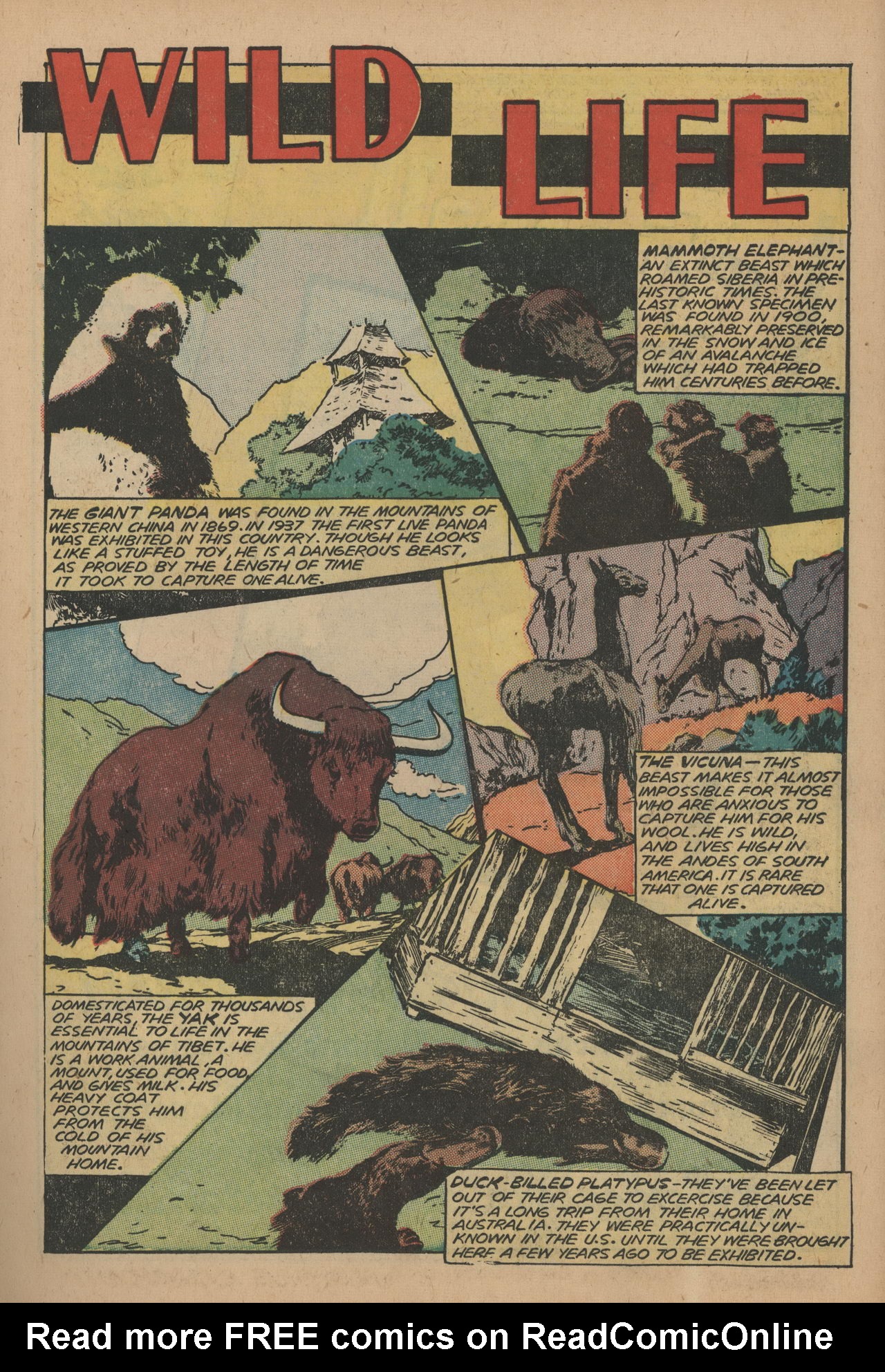 Read online Jungle Comics comic -  Issue #118 - 20