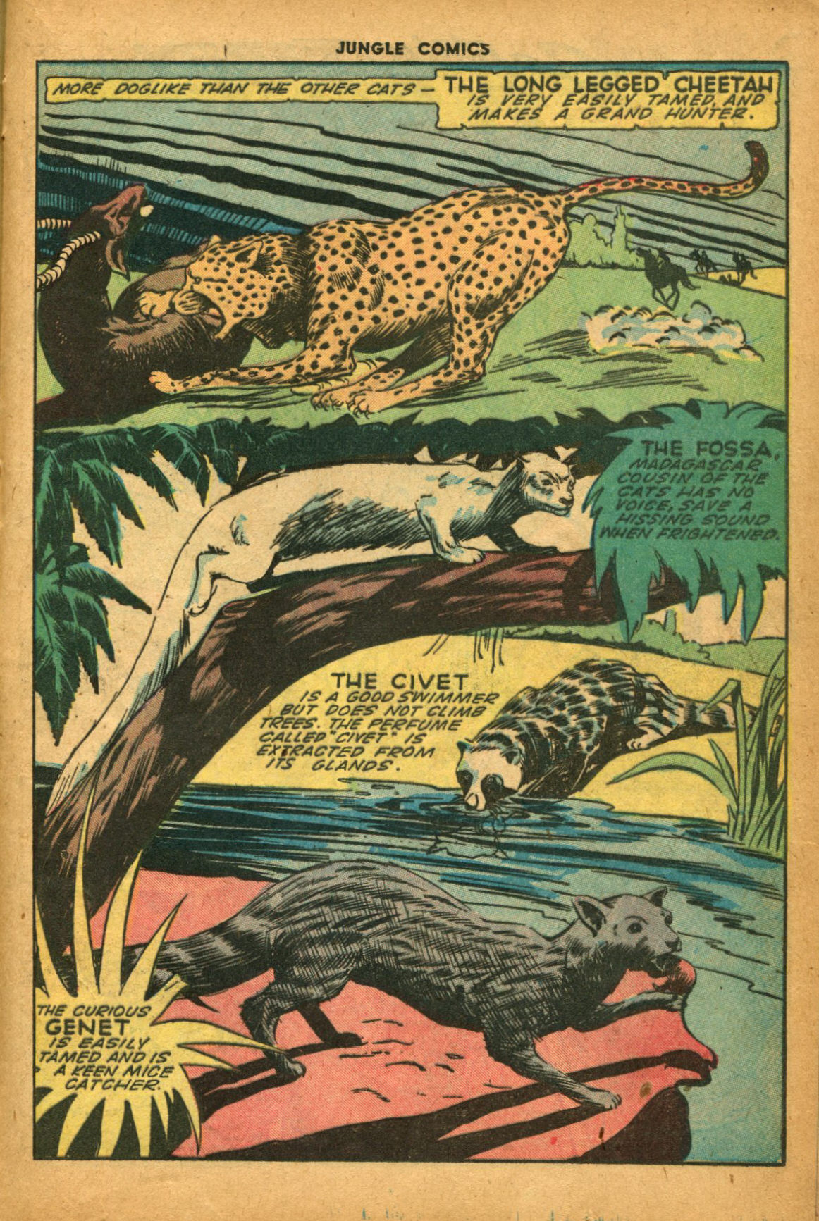 Read online Jungle Comics comic -  Issue #61 - 37