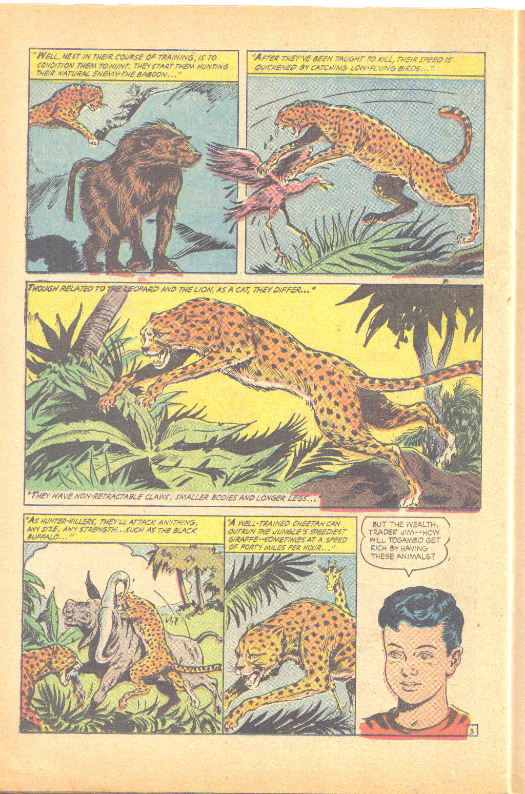 Read online Jungle Comics comic -  Issue #161 - 26