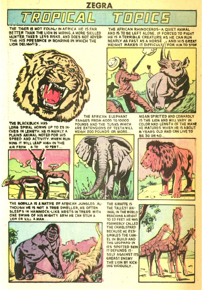 Read online Zegra, Jungle Empress comic -  Issue #3 - 26