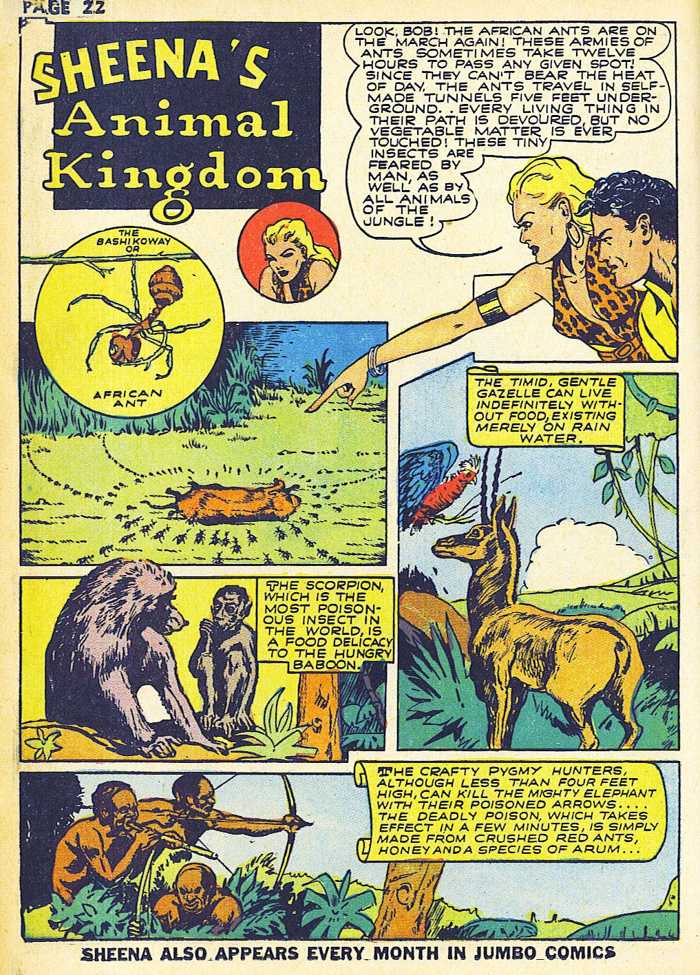 Read online Sheena, Queen of the Jungle (1942) comic -  Issue #2 - 24