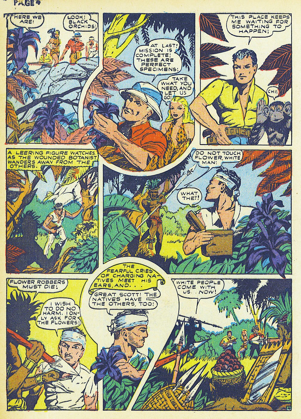 Read online Sheena, Queen of the Jungle (1942) comic -  Issue #2 - 6