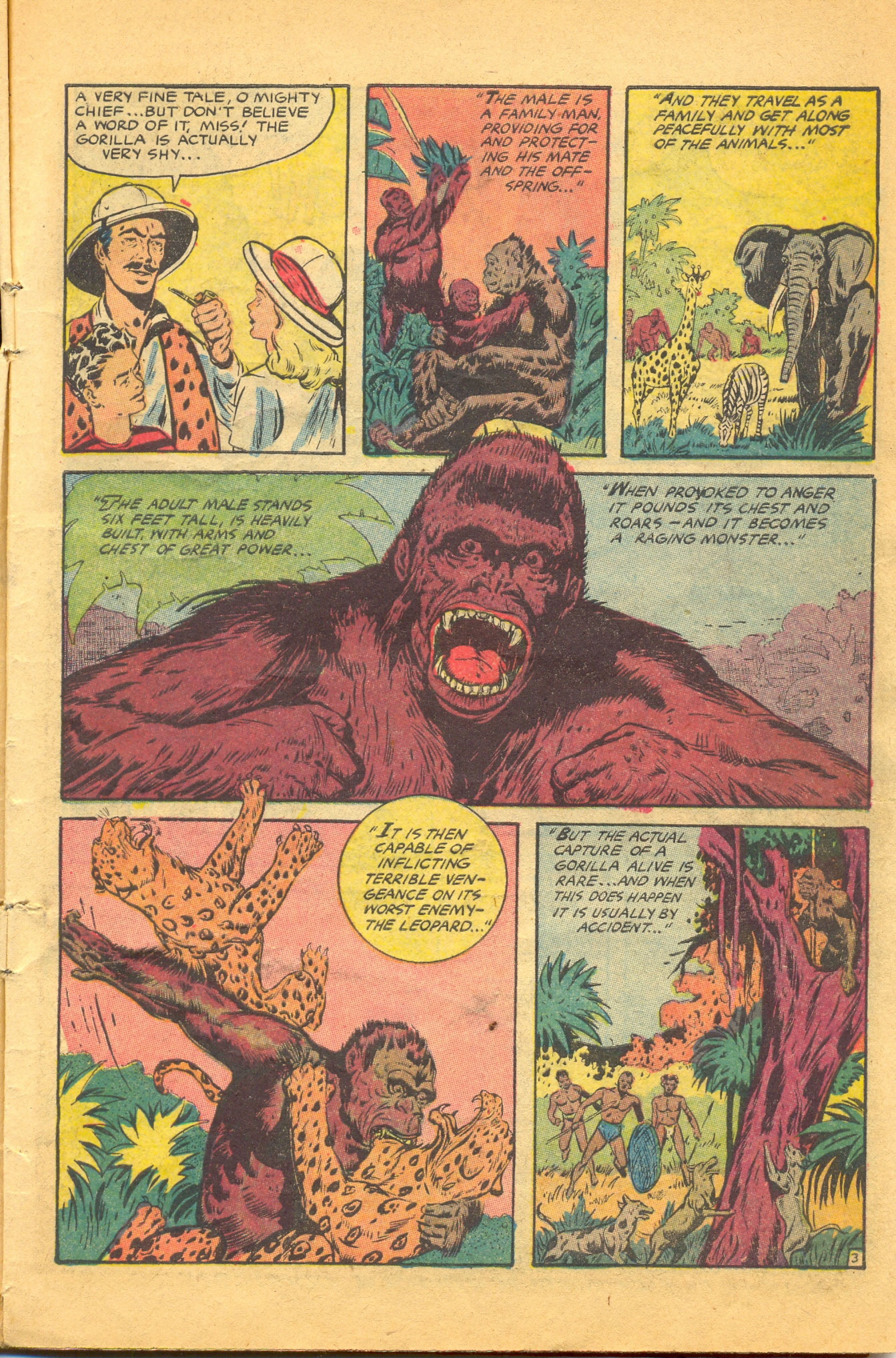 Read online Jungle Comics comic -  Issue #153 - 27