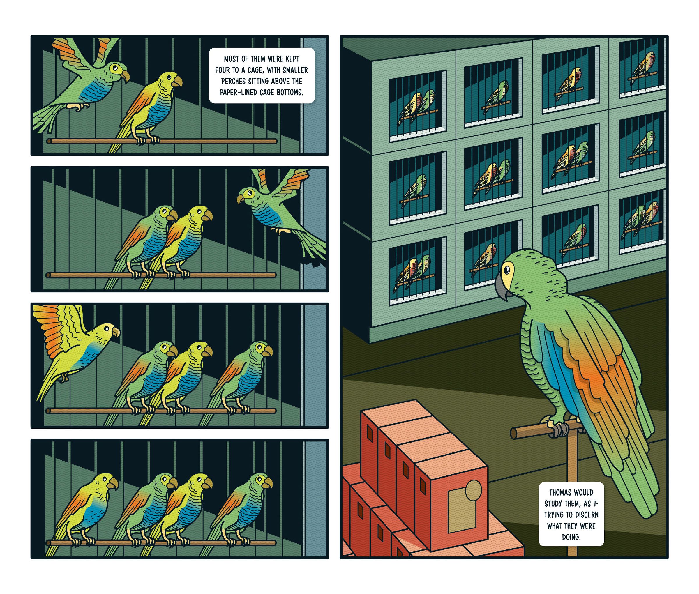 Read online Animal Stories comic -  Issue # TPB (Part 2) - 31