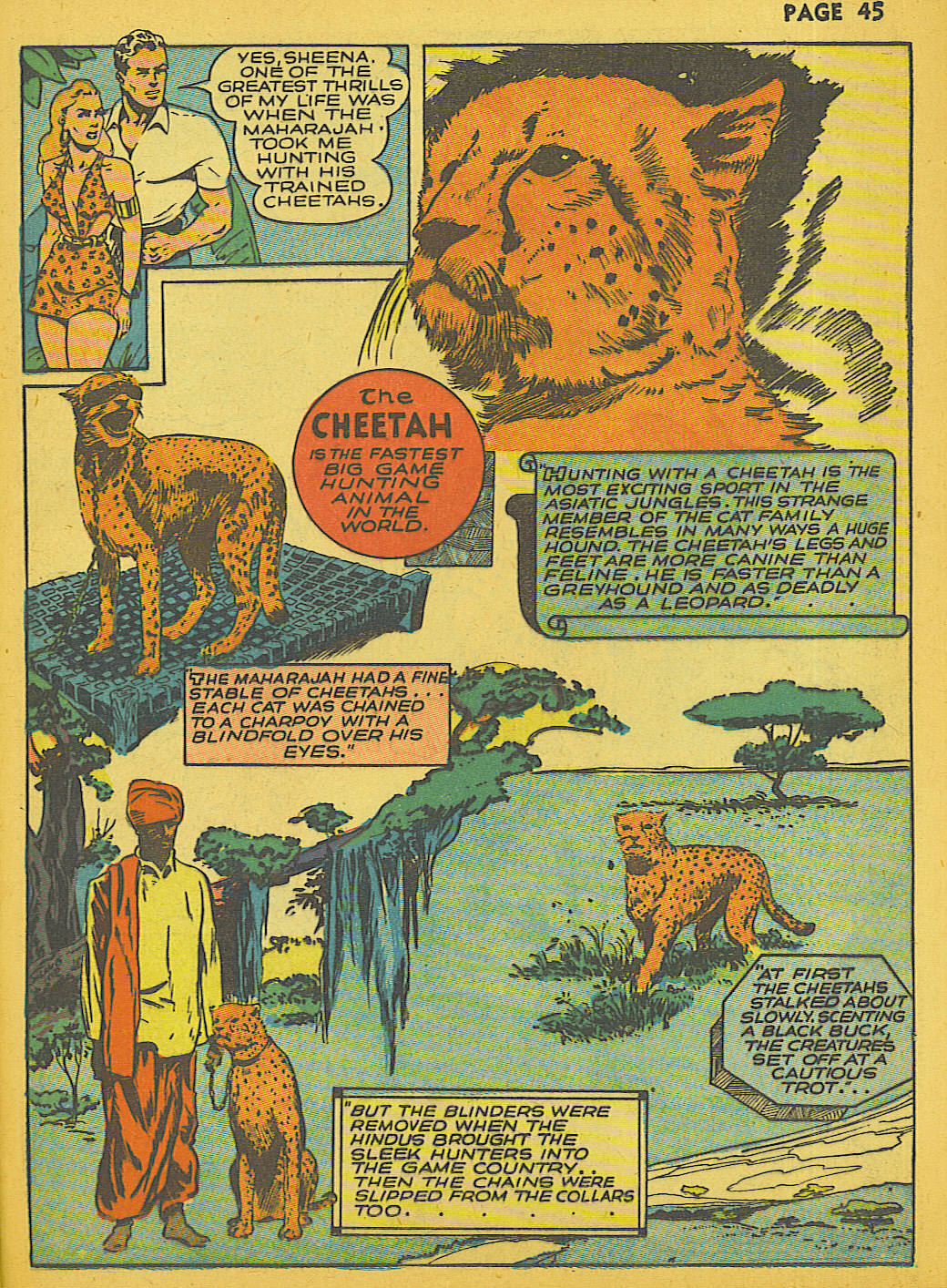 Read online Sheena, Queen of the Jungle (1942) comic -  Issue #1 - 45