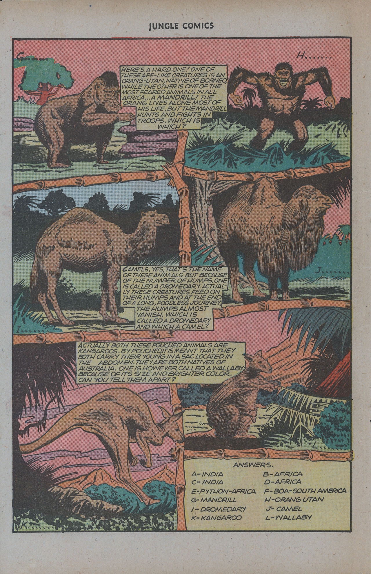 Read online Jungle Comics comic -  Issue #77 - 42