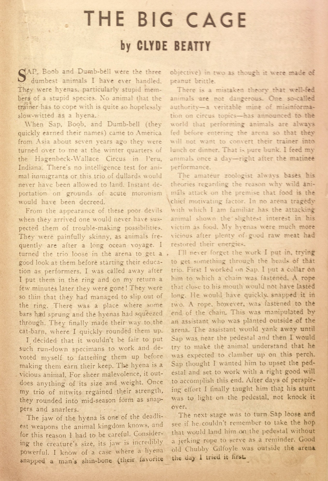 Read online Jungle Comics comic -  Issue #134 - 32