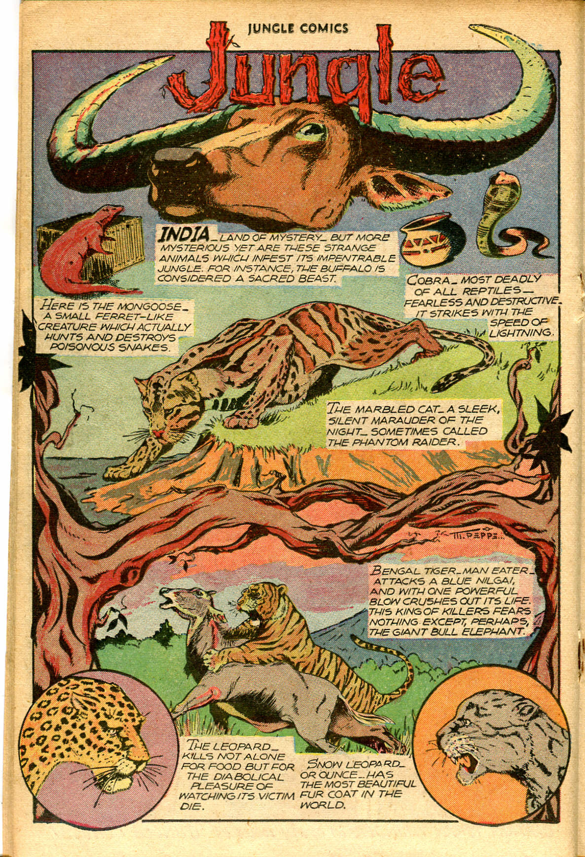 Read online Jungle Comics comic -  Issue #87 - 26