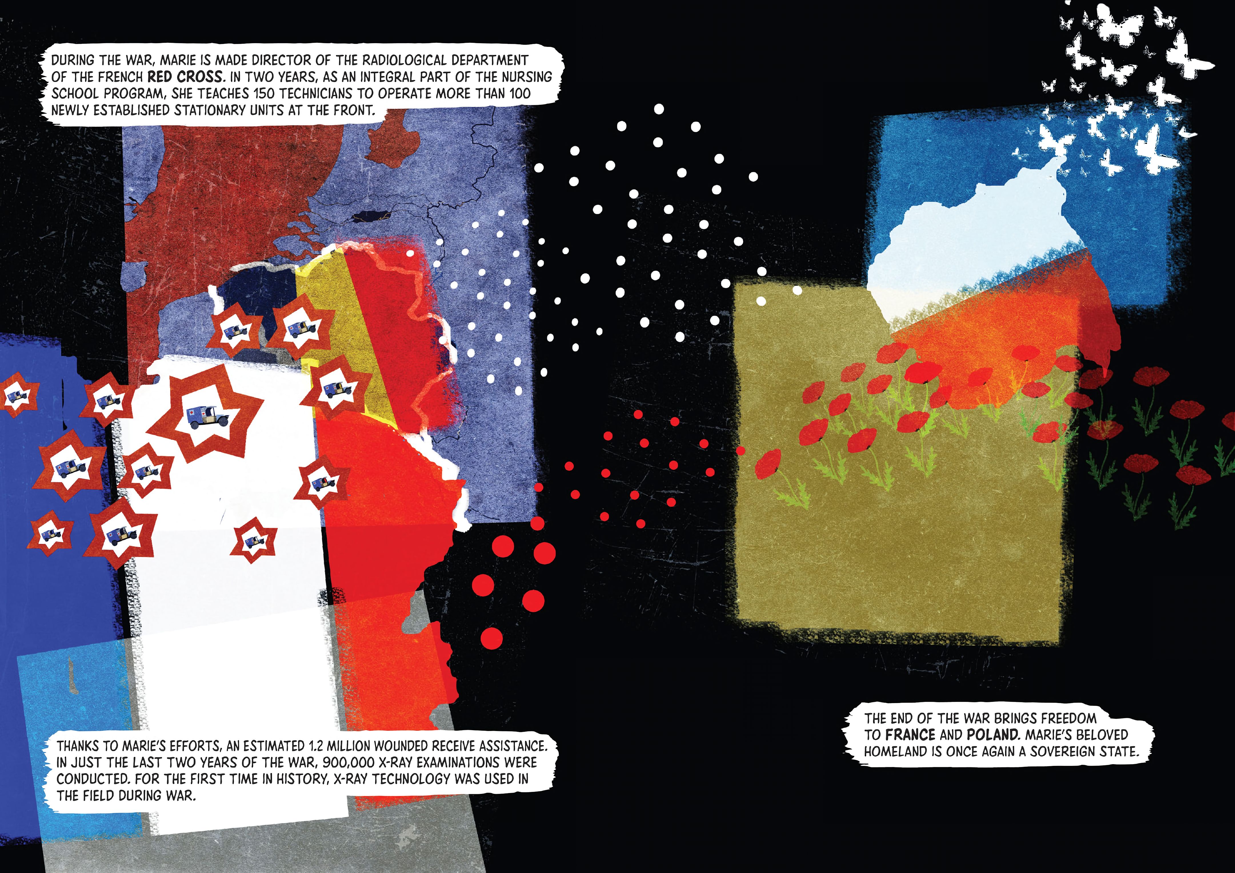 Read online Marie Curie: A Quest For Light comic -  Issue # TPB - 123