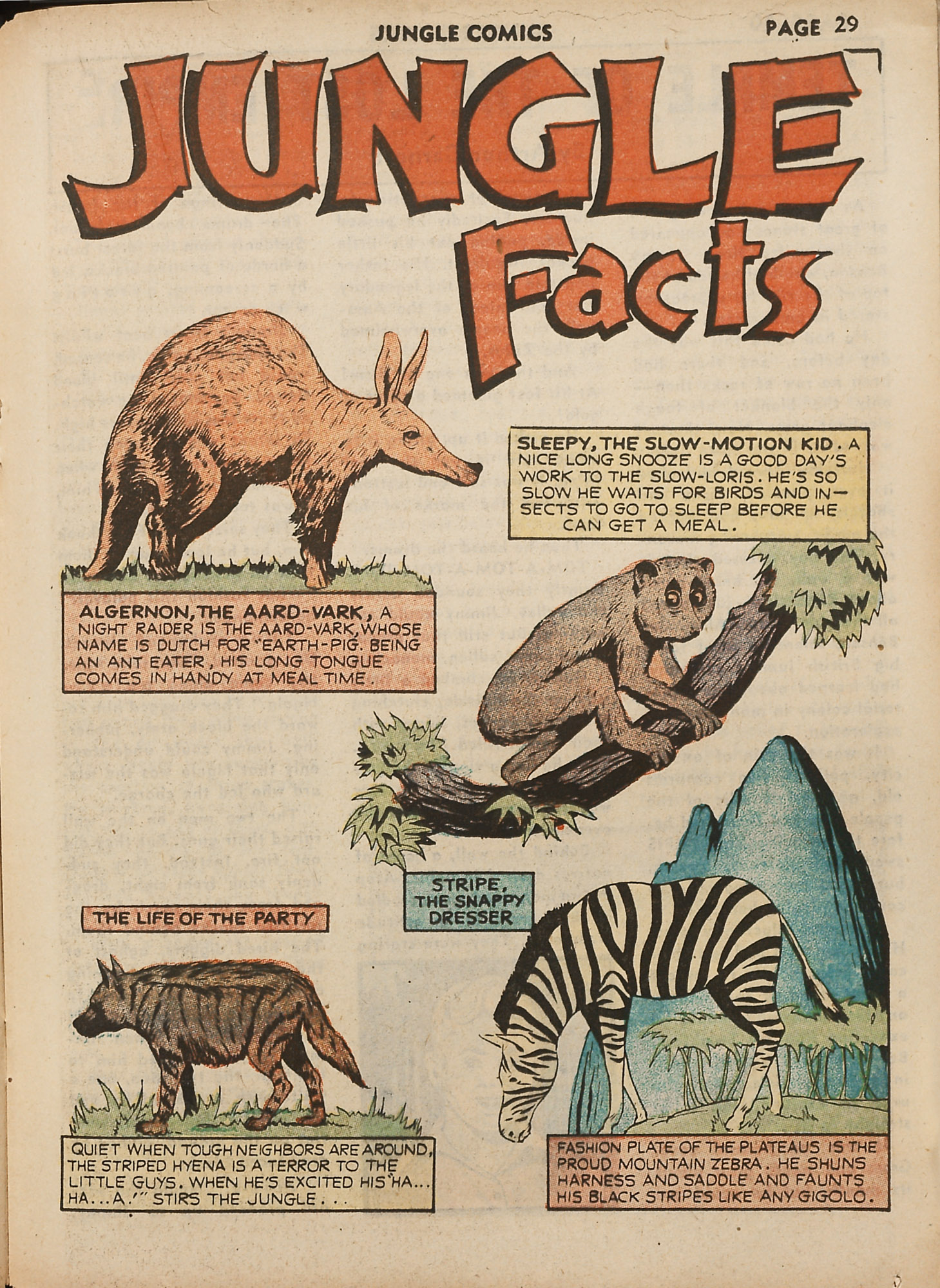 Read online Jungle Comics comic -  Issue #18 - 31