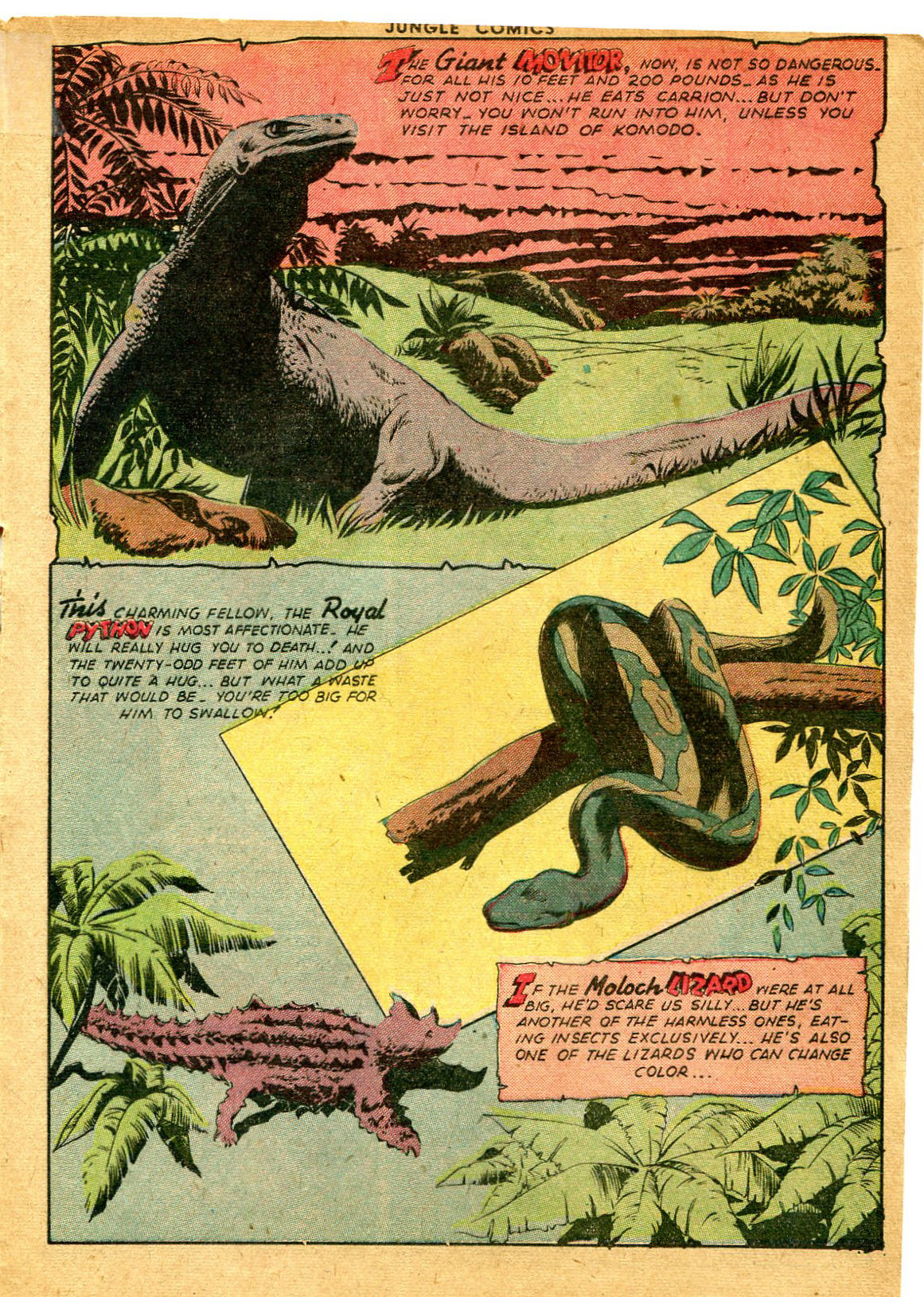 Read online Jungle Comics comic -  Issue #65 - 29