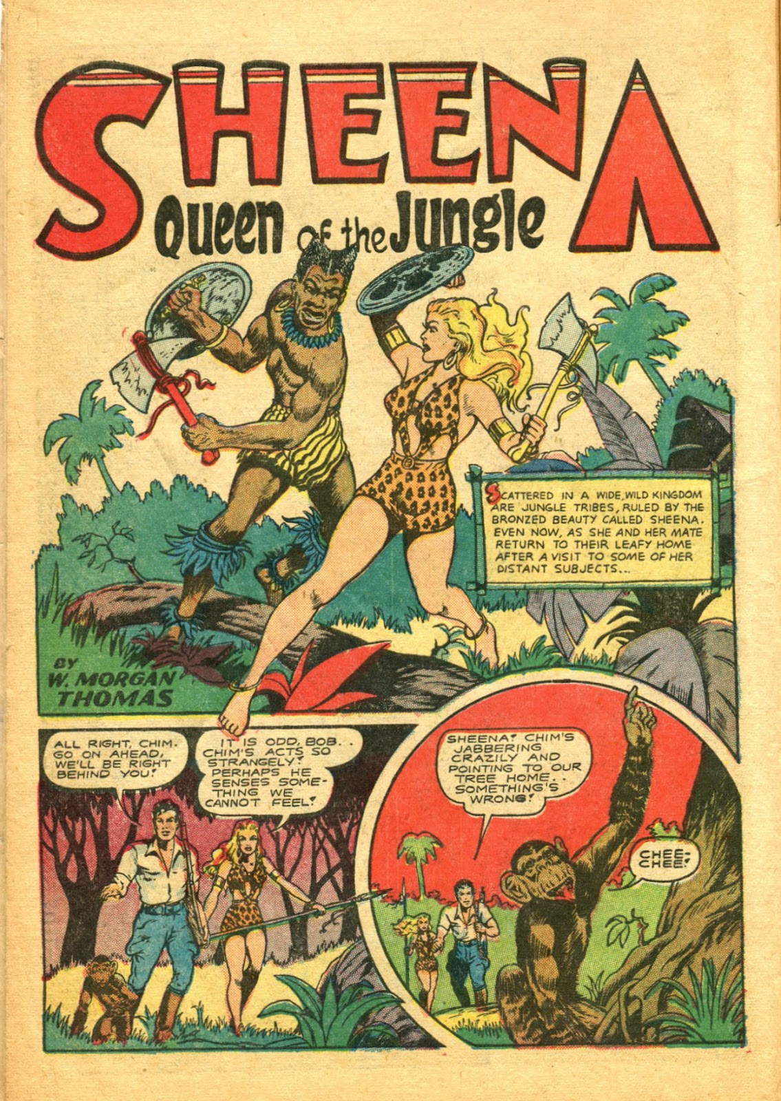 Sheena, Queen of the Jungle (1942) issue 5 - Page 14