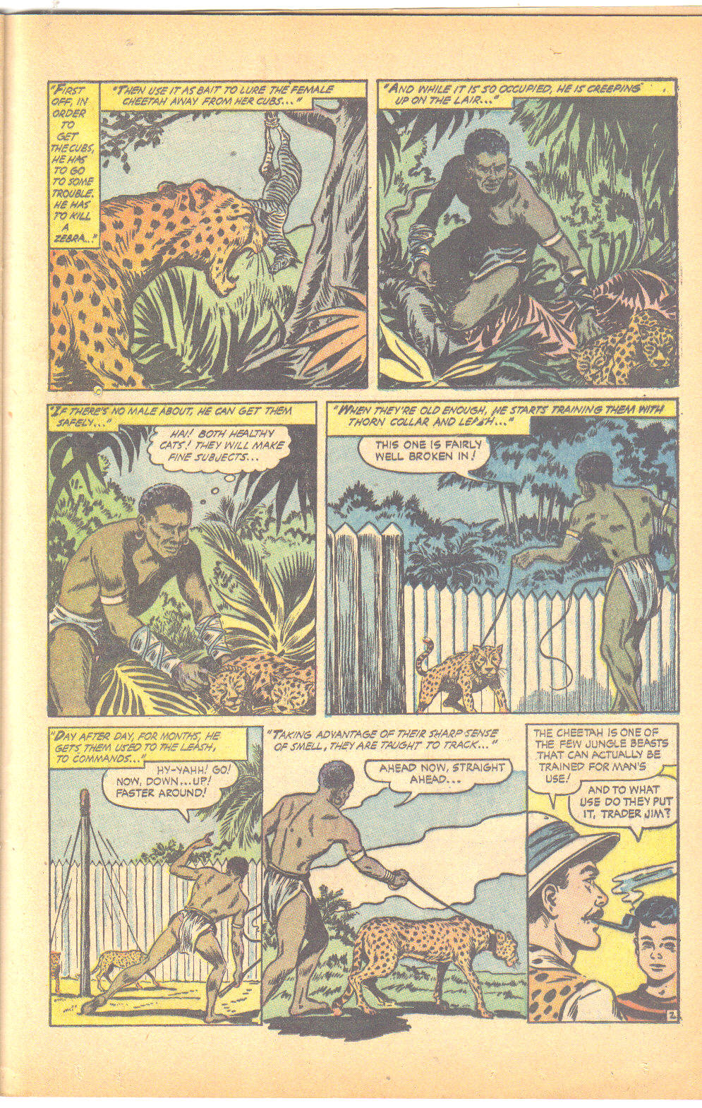 Read online Jungle Comics comic -  Issue #161 - 25