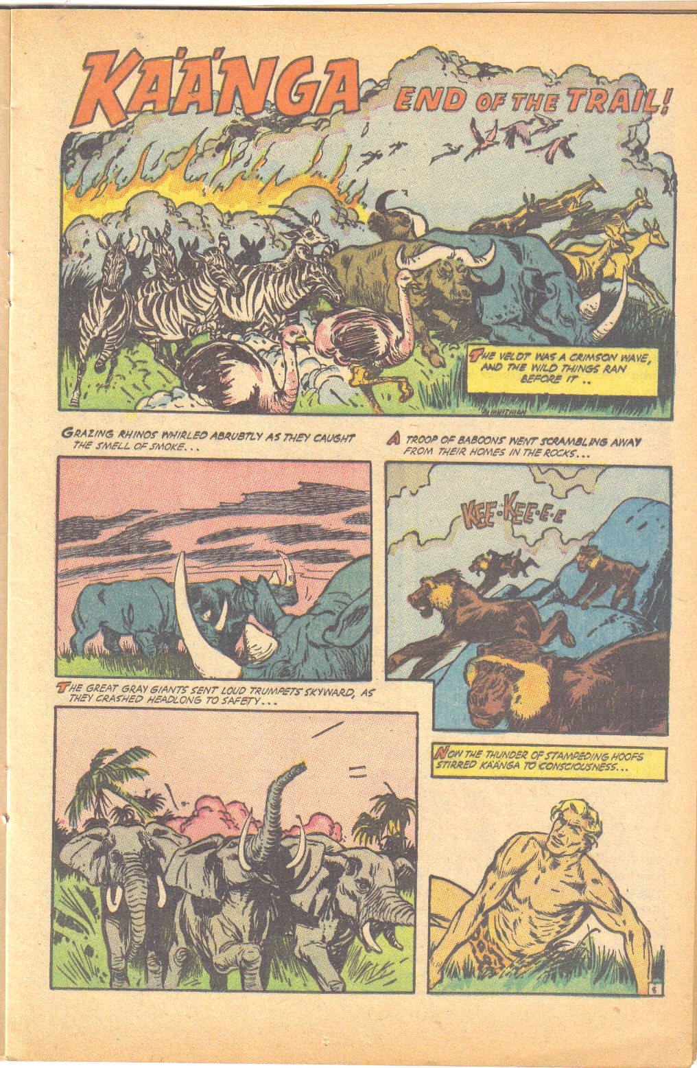 Read online Jungle Comics comic -  Issue #161 - 13