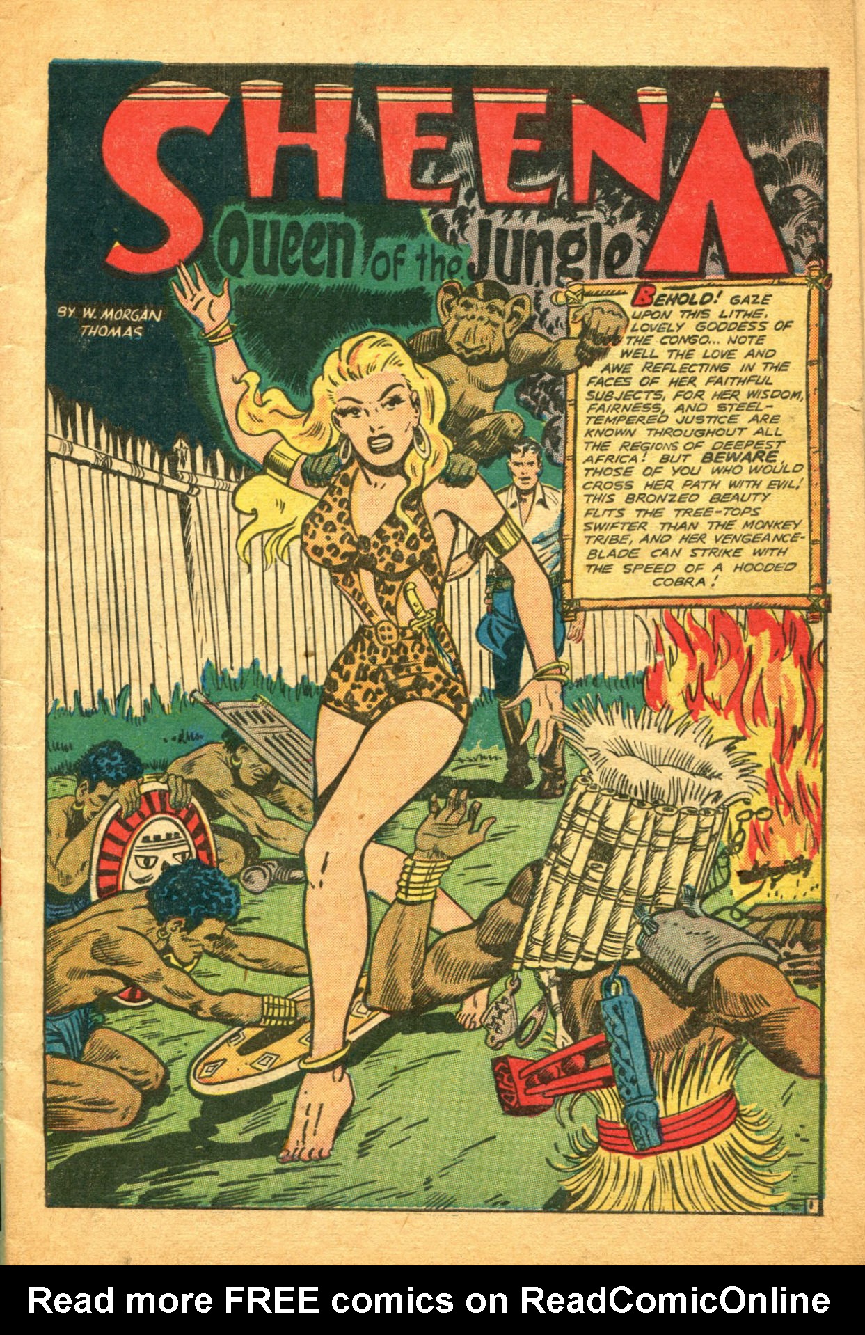 Read online Sheena, Queen of the Jungle (1942) comic -  Issue #5 - 3
