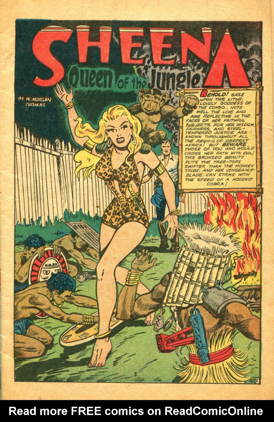 Sheena, Queen of the Jungle (1942) issue 5 - Page 3