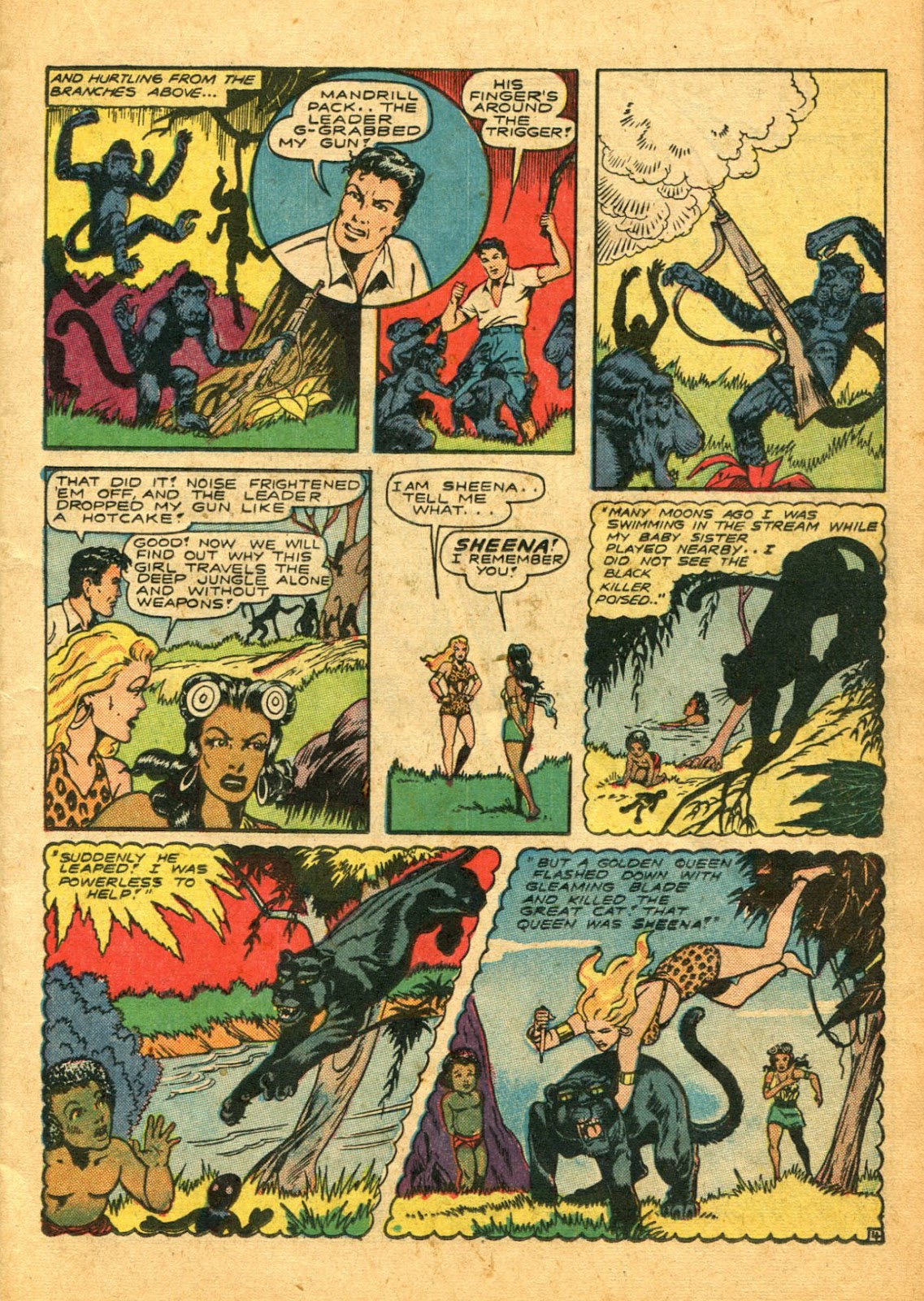 Sheena, Queen of the Jungle (1942) issue 5 - Page 17