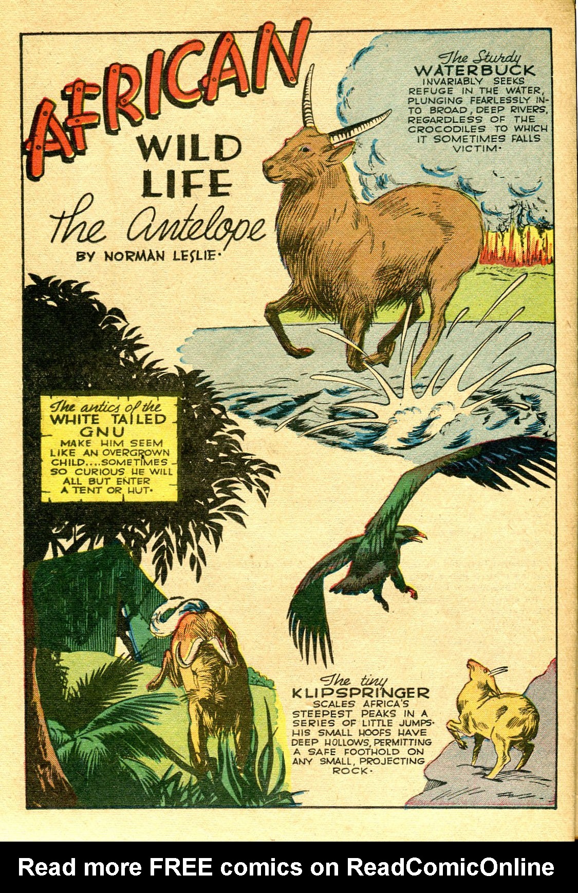 Read online Jungle Comics comic -  Issue #59 - 37