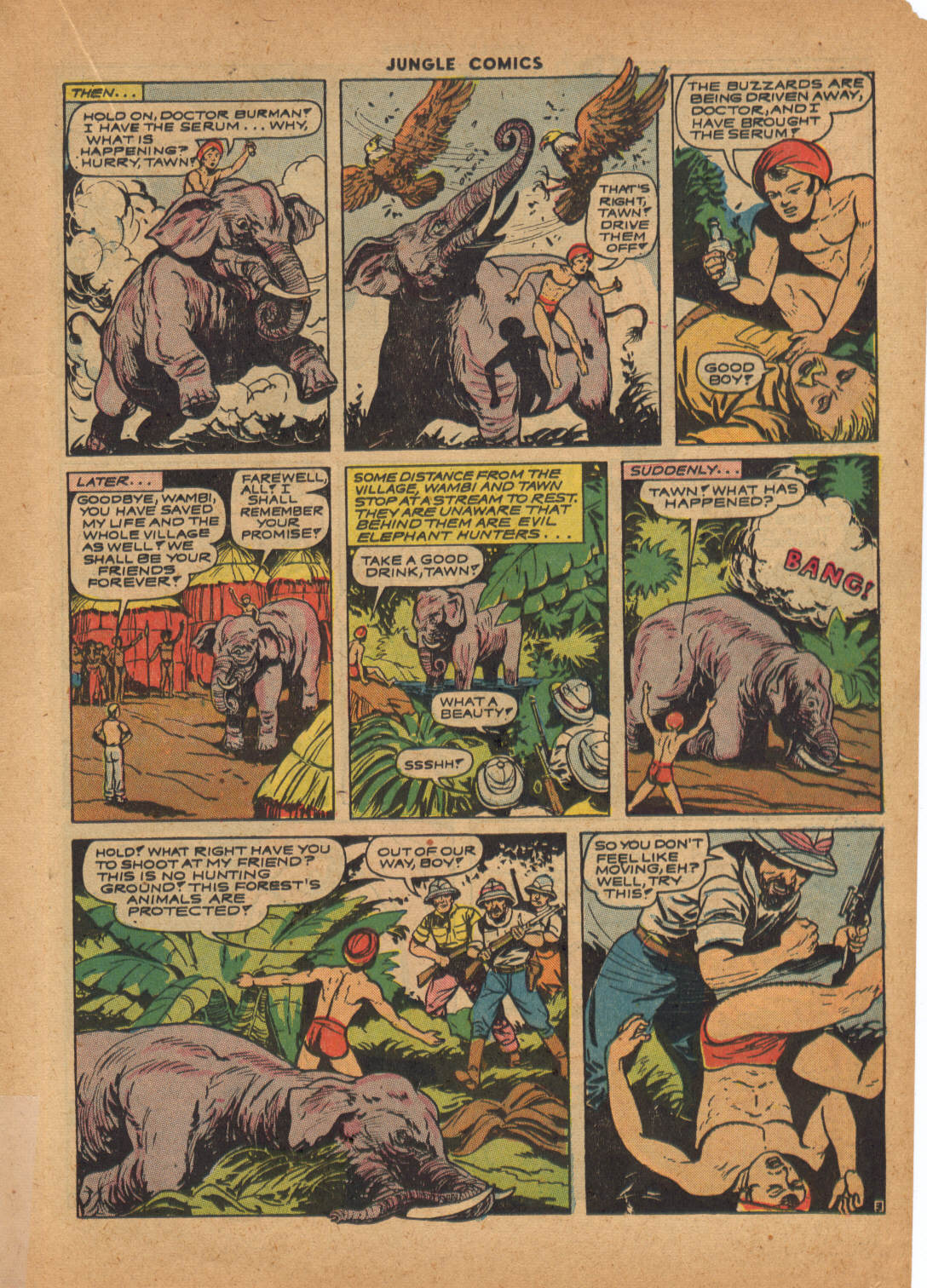 Read online Jungle Comics comic -  Issue #44 - 29