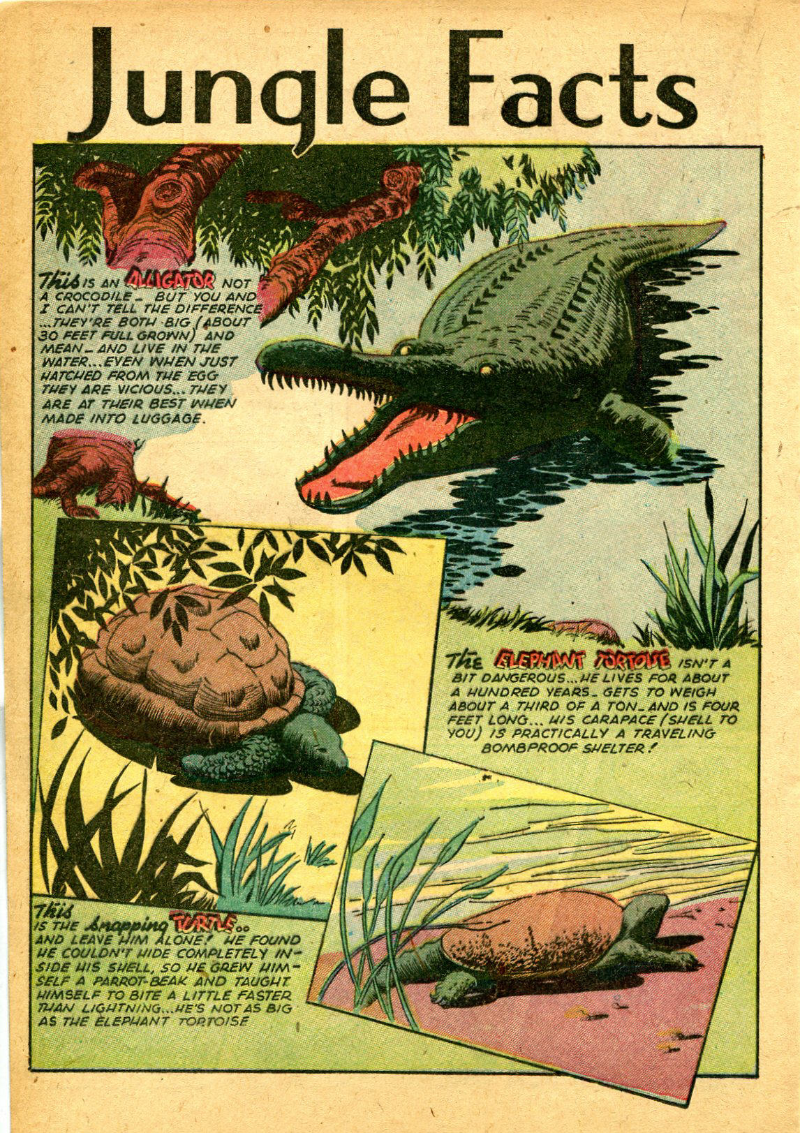 Read online Jungle Comics comic -  Issue #65 - 28