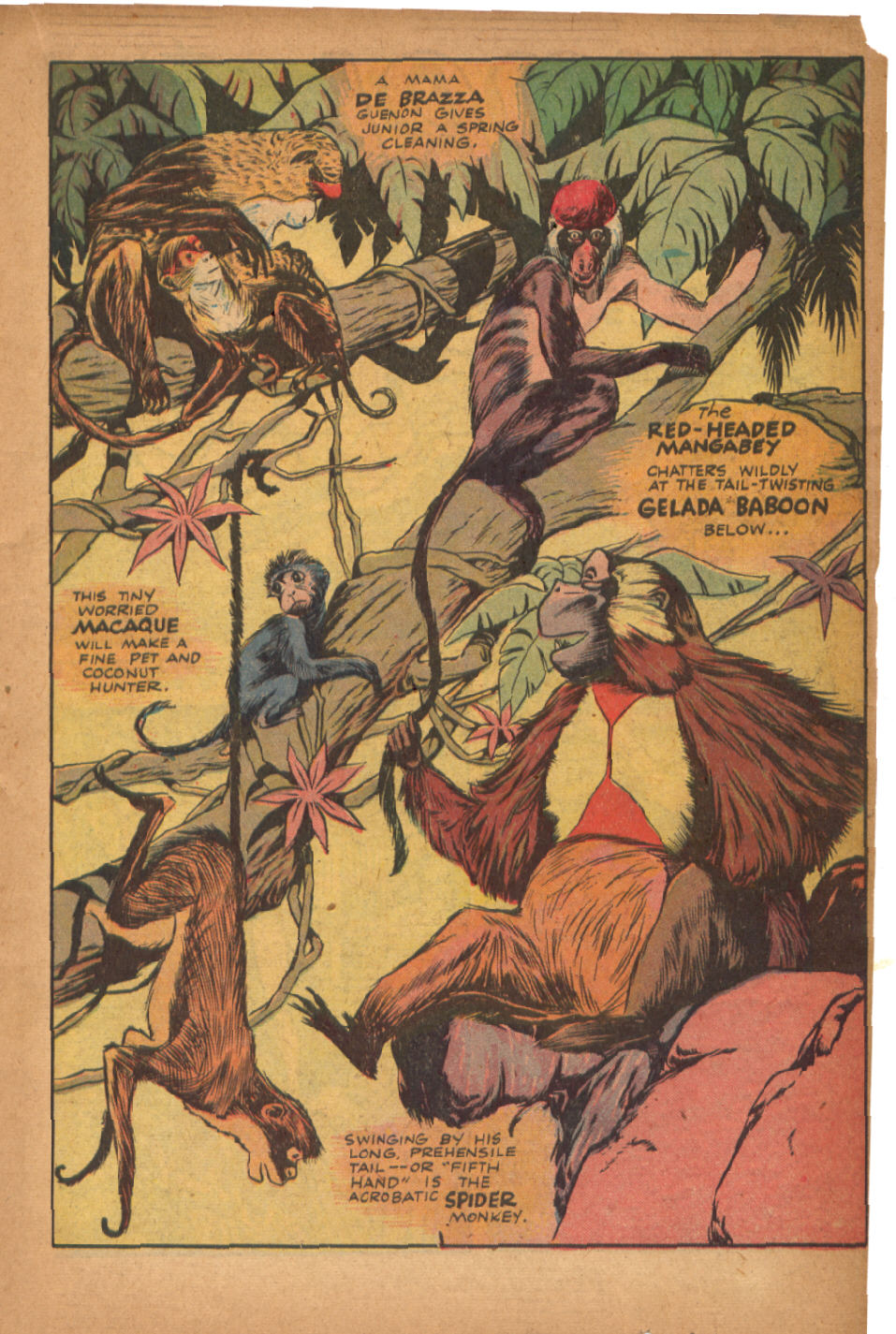 Read online Jungle Comics comic -  Issue #53 - 27