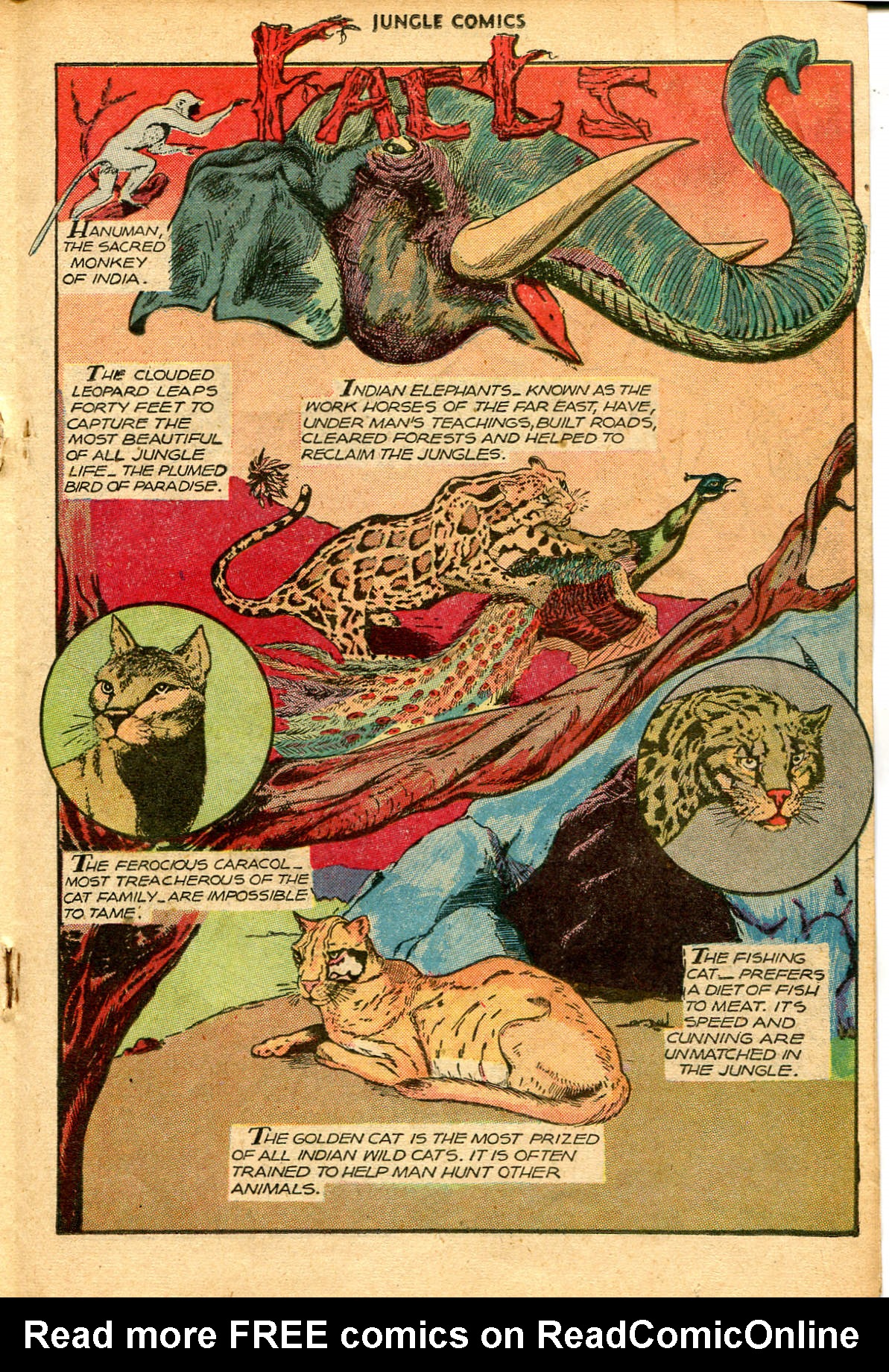 Read online Jungle Comics comic -  Issue #87 - 27
