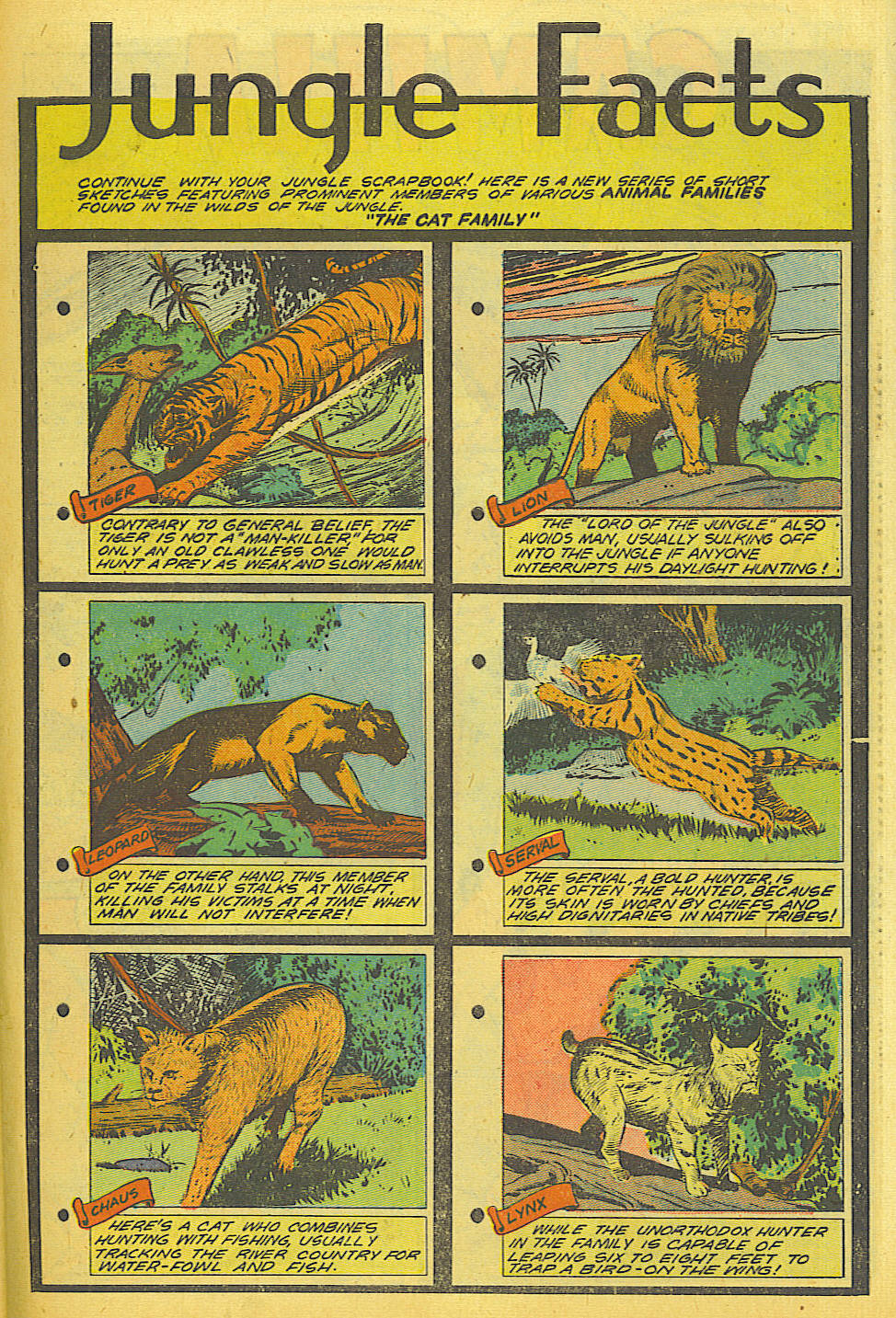 Read online Jungle Comics comic -  Issue #103 - 42