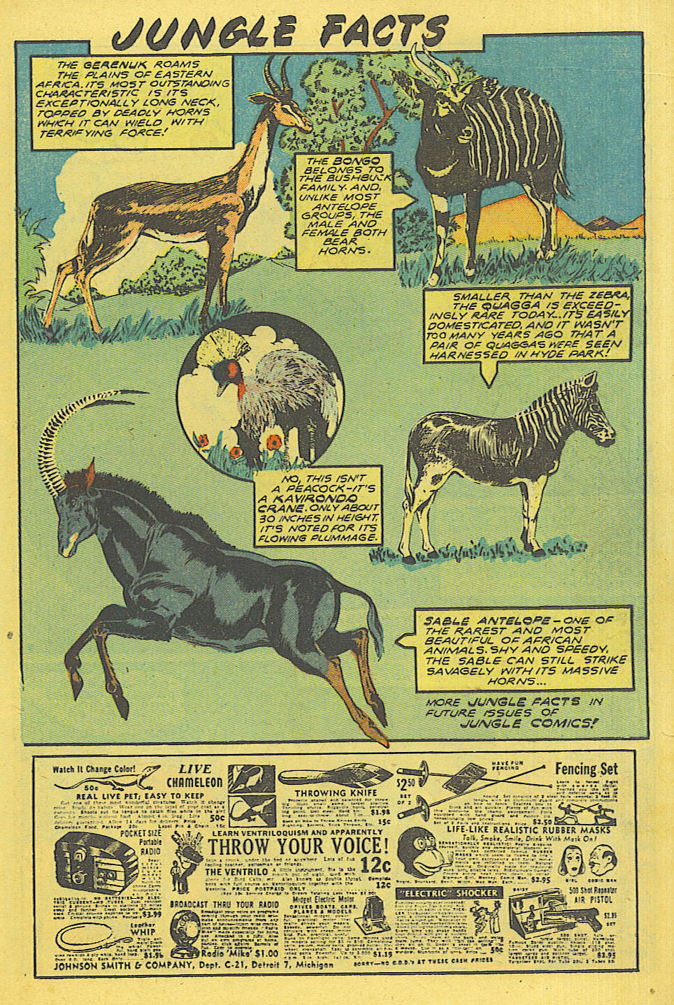 Read online Jungle Comics comic -  Issue #108 - 25