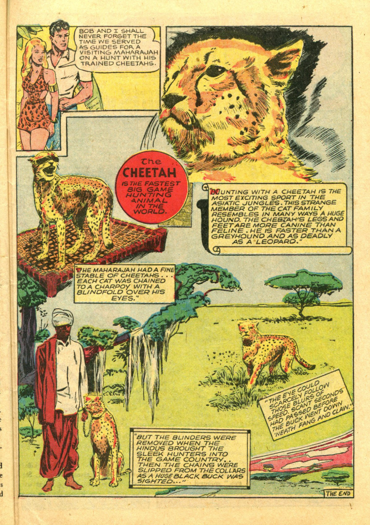 Read online Sheena, Queen of the Jungle (1942) comic -  Issue #6 - 39