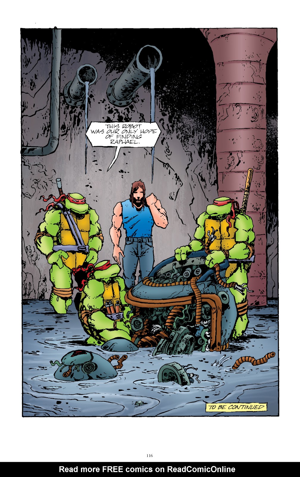 Teenage Mutant Ninja Turtles Classics issue Vol. 9 - Page 117