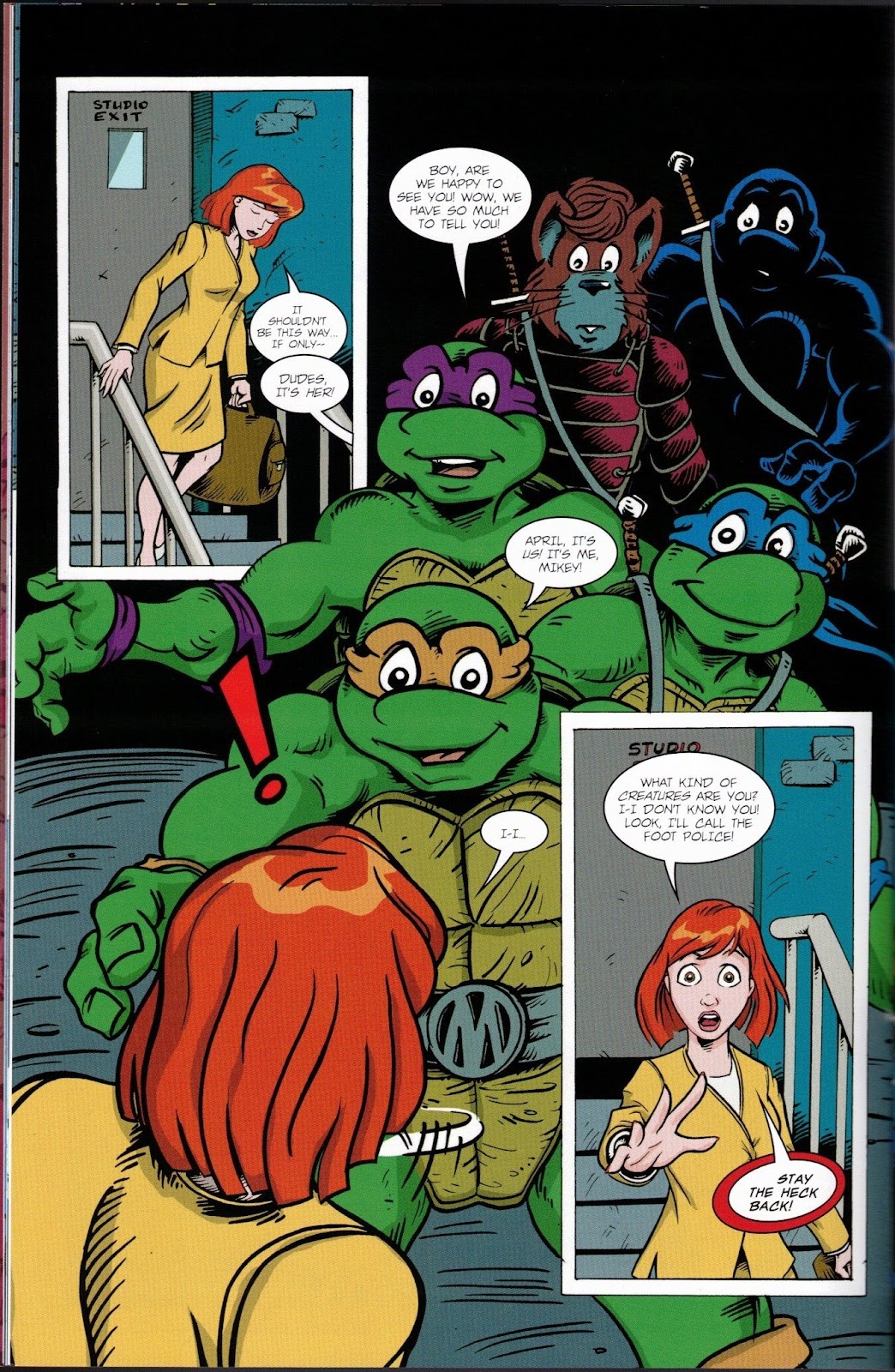 Teenage Mutant Ninja Turtles Adventures (1989) issue 74 - Page 16