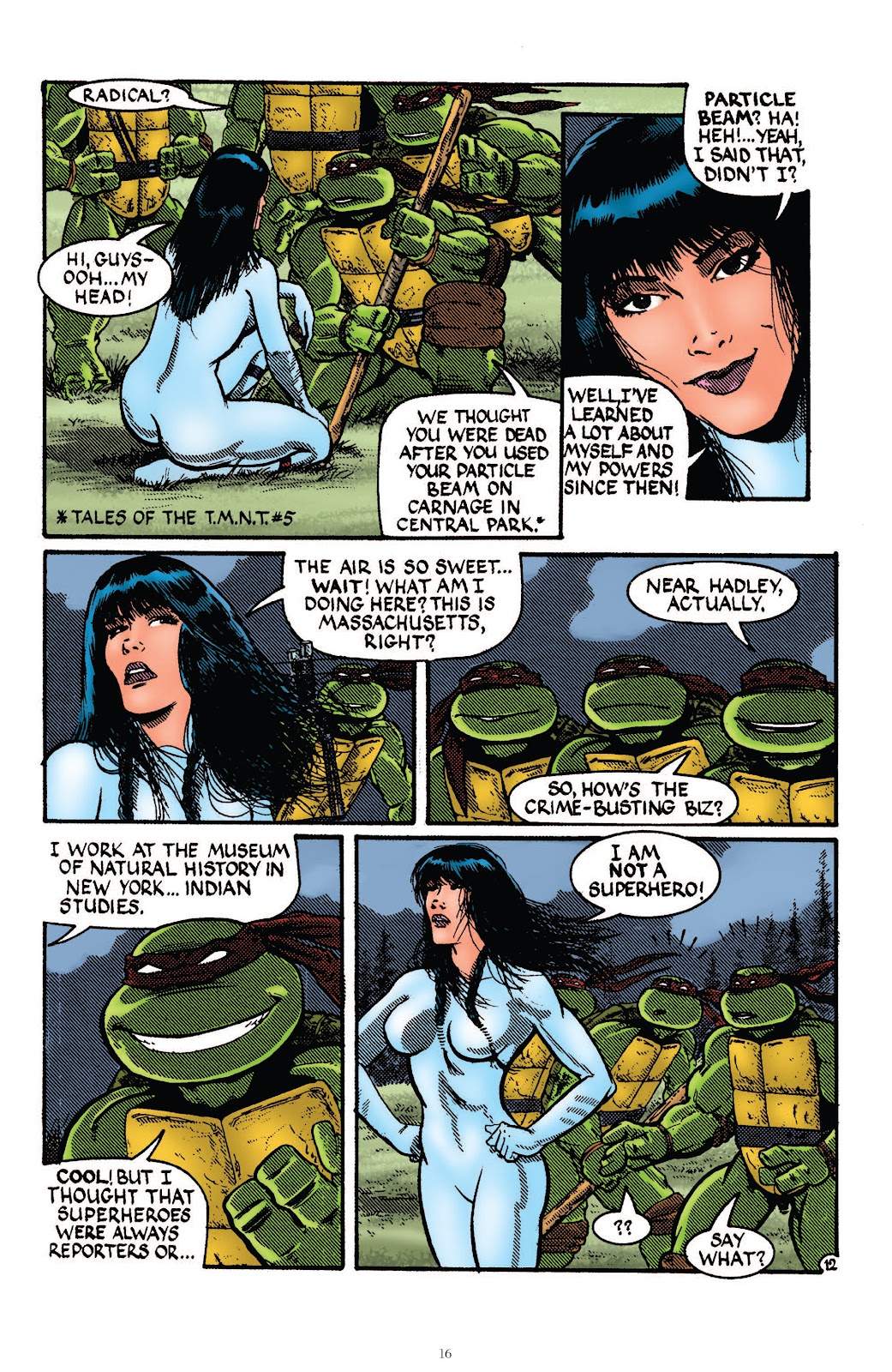 Teenage Mutant Ninja Turtles Classics issue Vol. 3 - Page 15