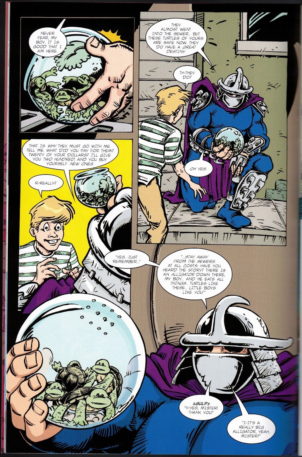 Teenage Mutant Ninja Turtles Adventures (1989) issue 74 - Page 12
