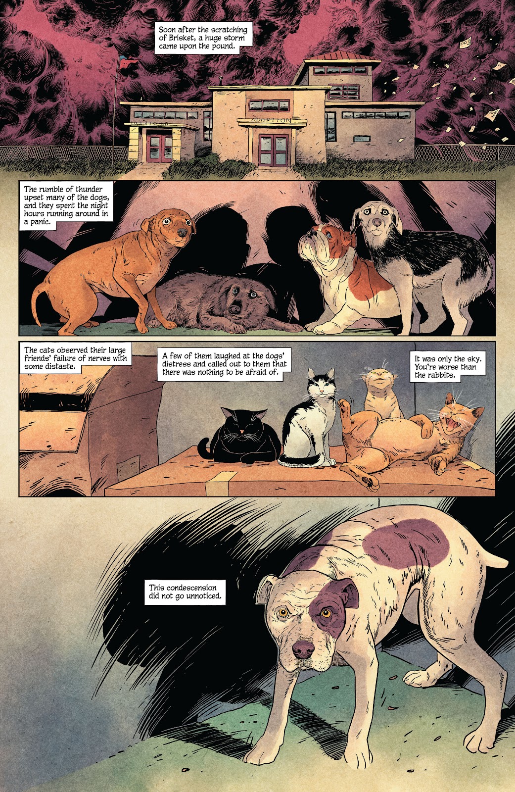 Animal Pound issue 3 - Page 23