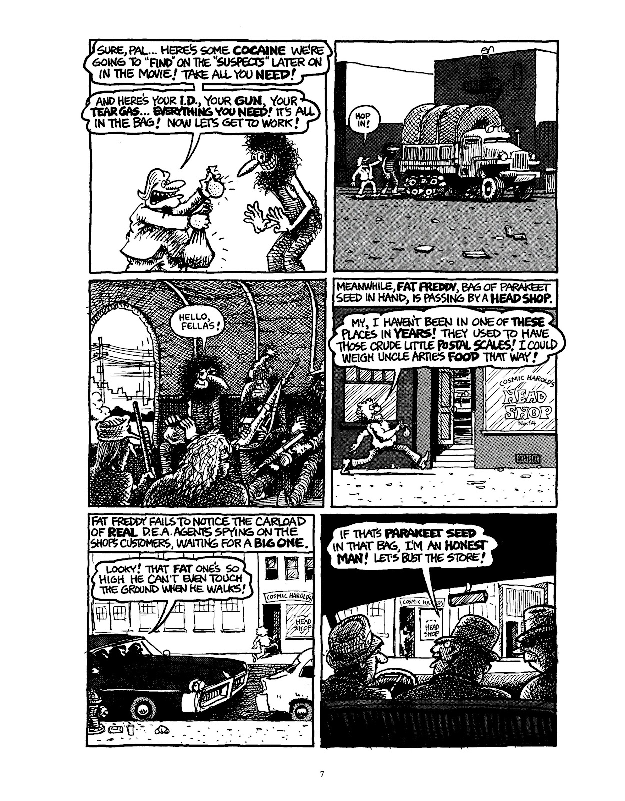 The Fabulous Furry Freak Brothers: In the 21st Century and Other Follies issue Grass Roots and Other Follies - Page 14
