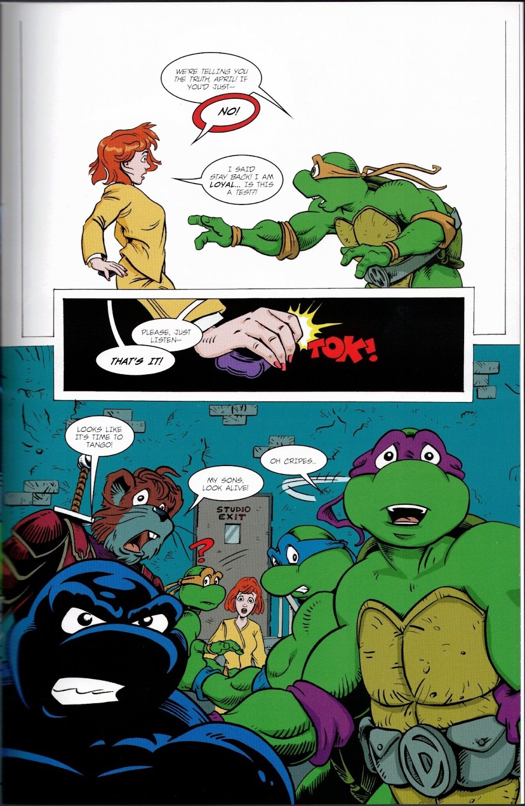 Teenage Mutant Ninja Turtles Adventures (1989) issue 74 - Page 17