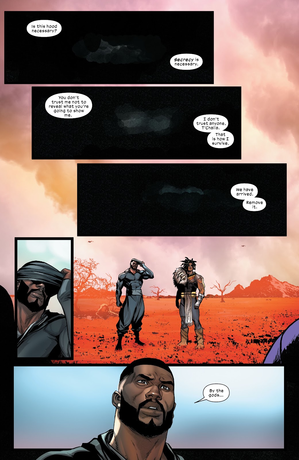 Ultimate Black Panther issue 3 - Page 15