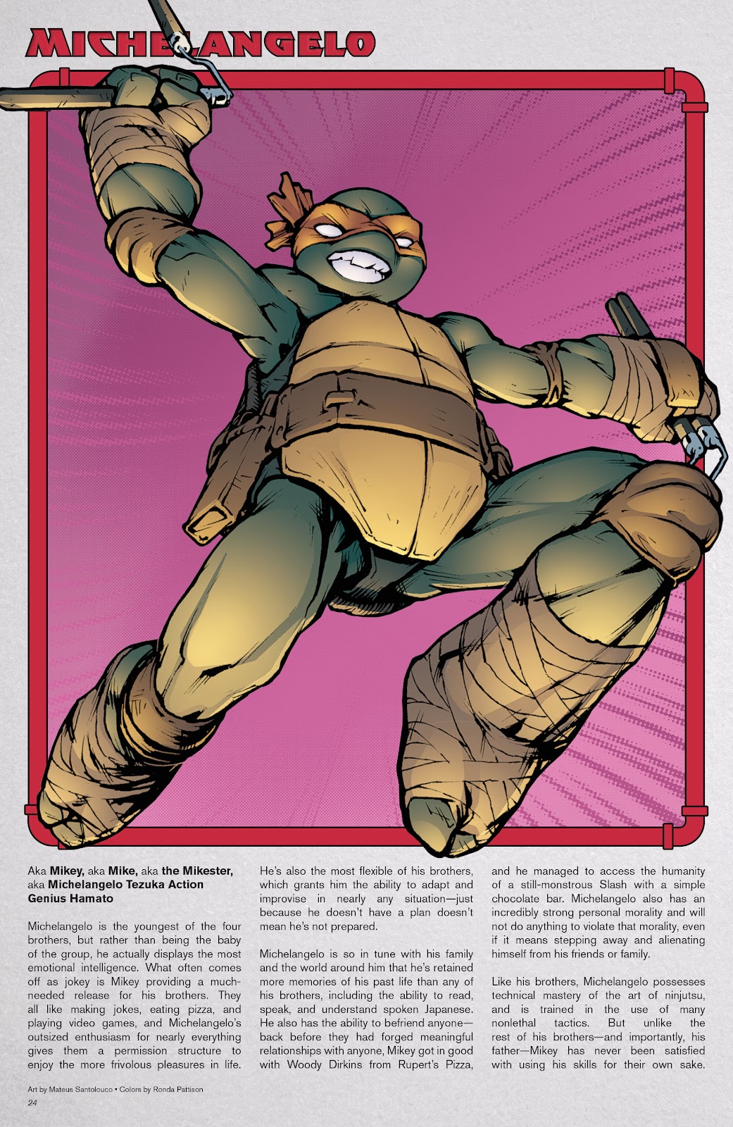 Teenage Mutant Ninja Turtles: Sourcebook issue 1 - Page 21