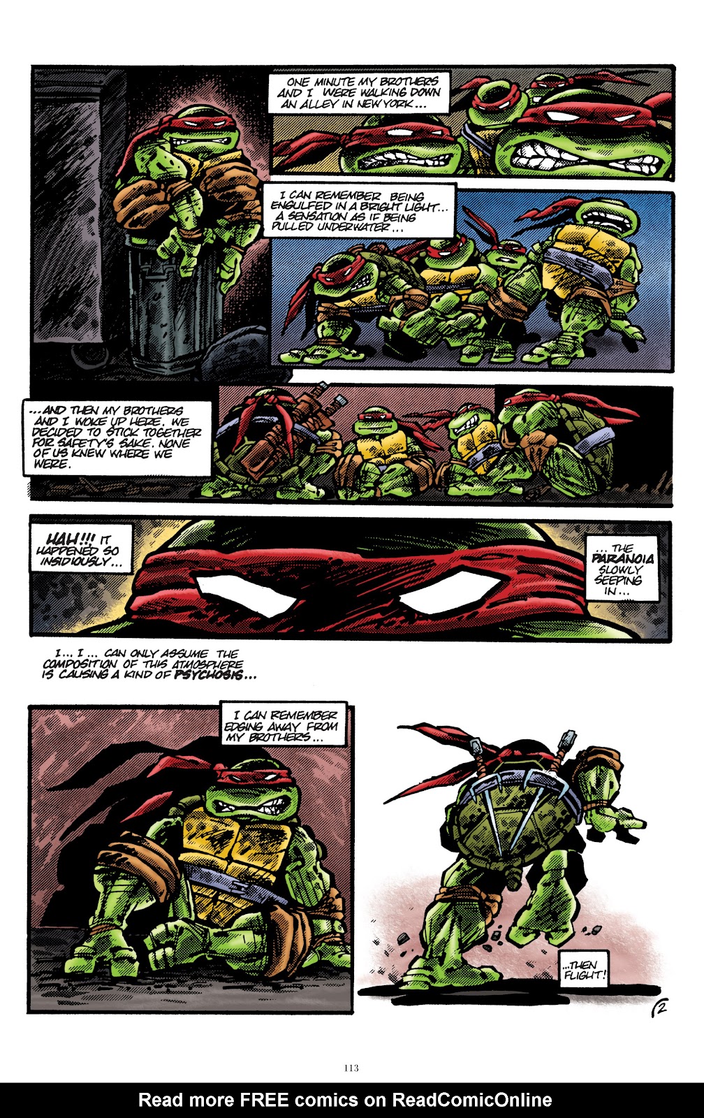 Teenage Mutant Ninja Turtles Classics issue Vol. 7 - Page 108
