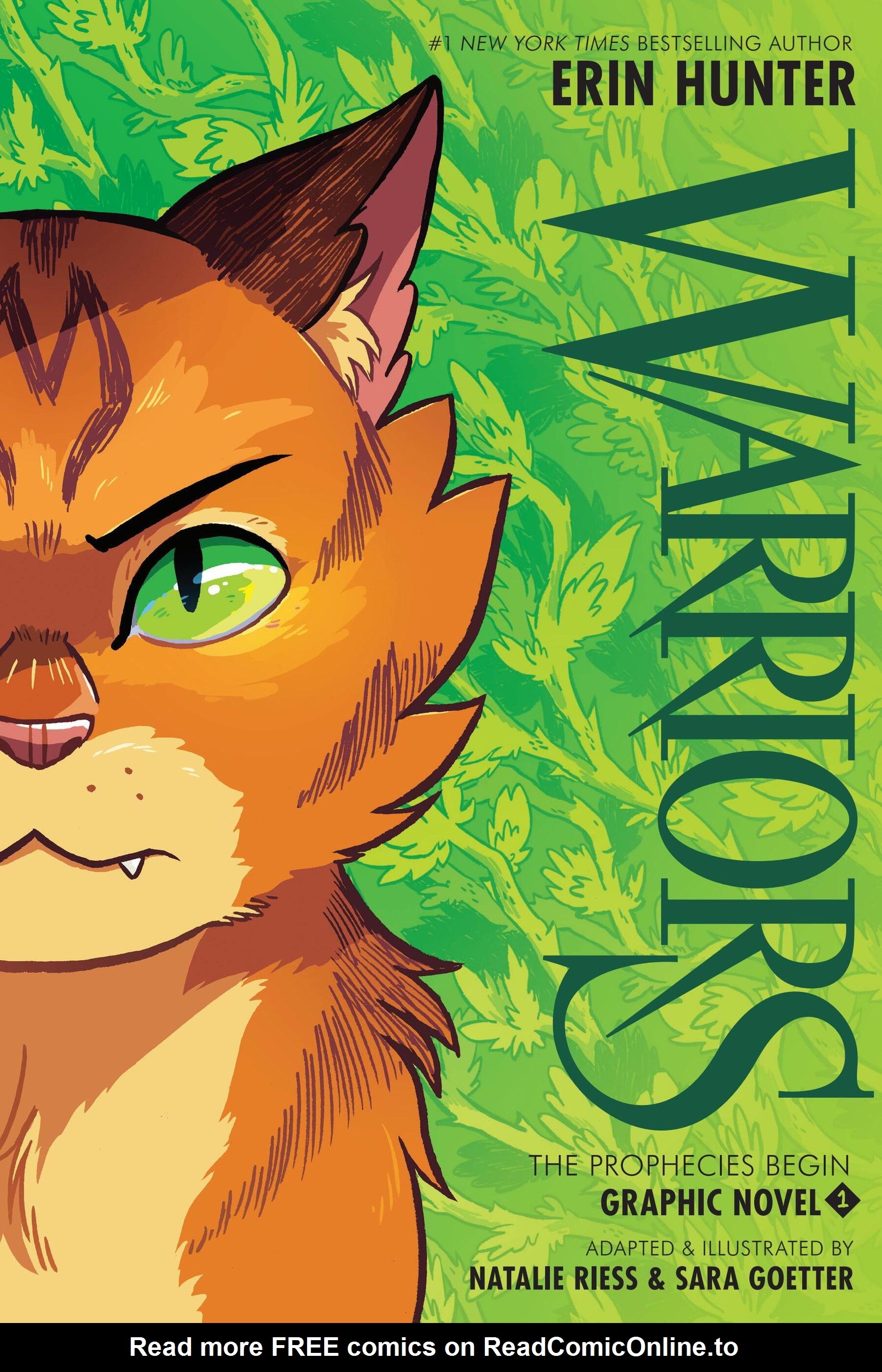 Warriors Graphic Novel - Read All Comics Online