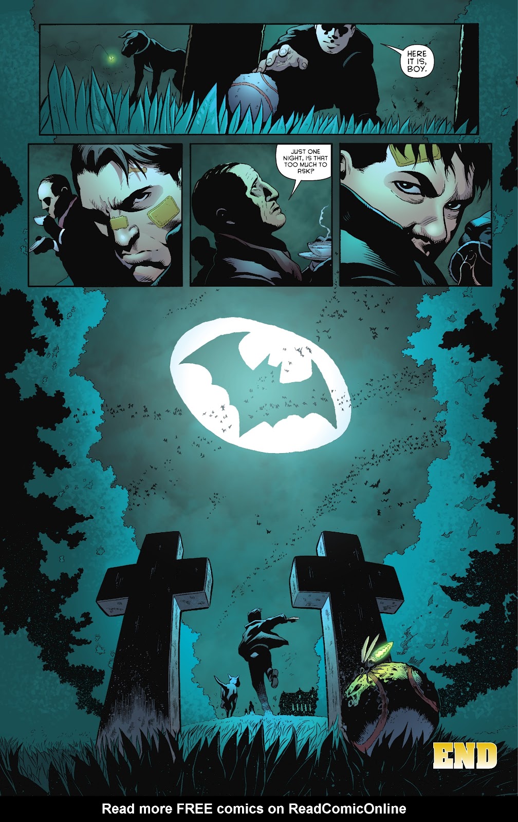 Batman and Robin by Peter J. Tomasi and Patrick Gleason issue TPB (Part 1) - Page 225